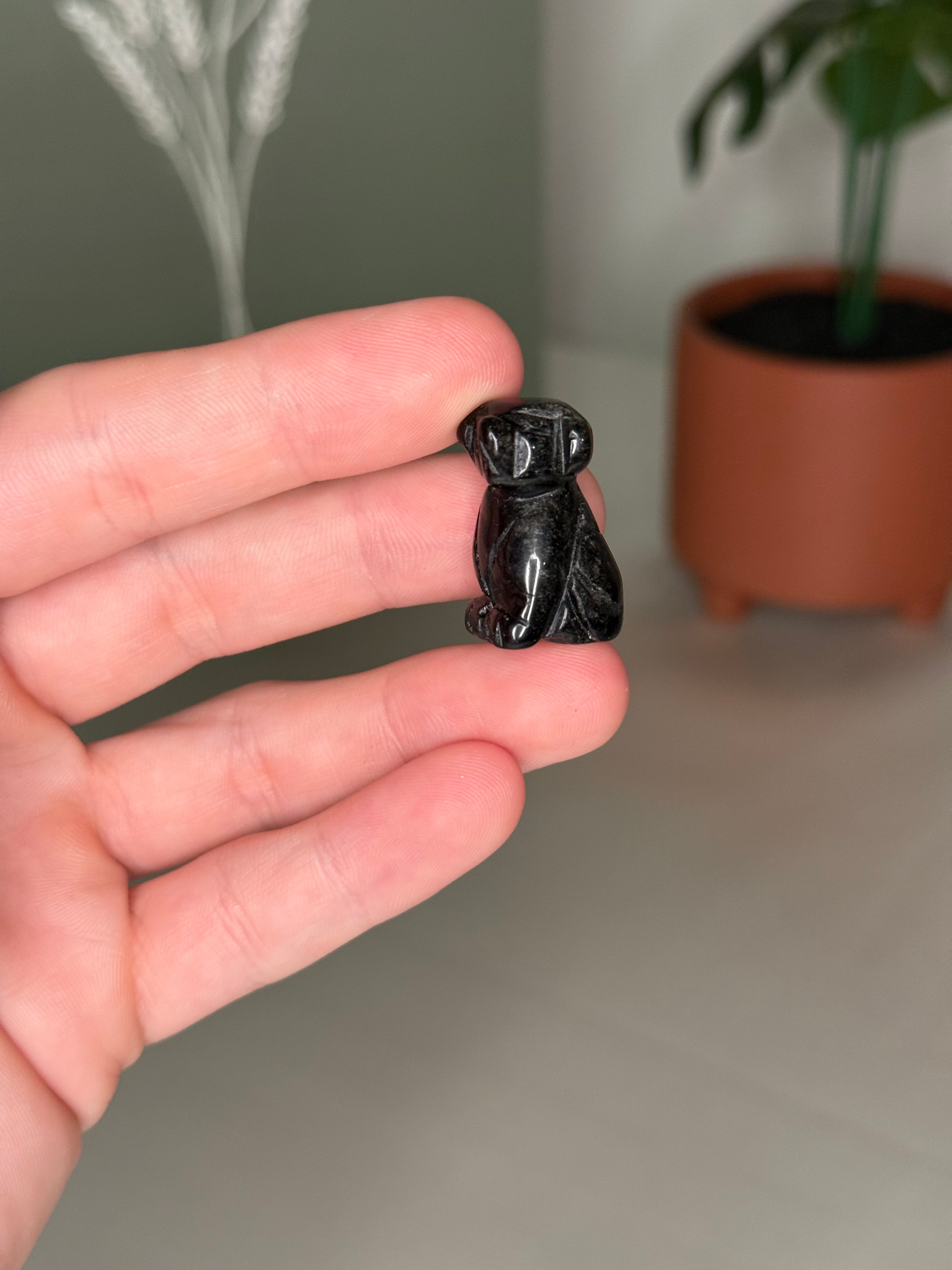 Mini dog