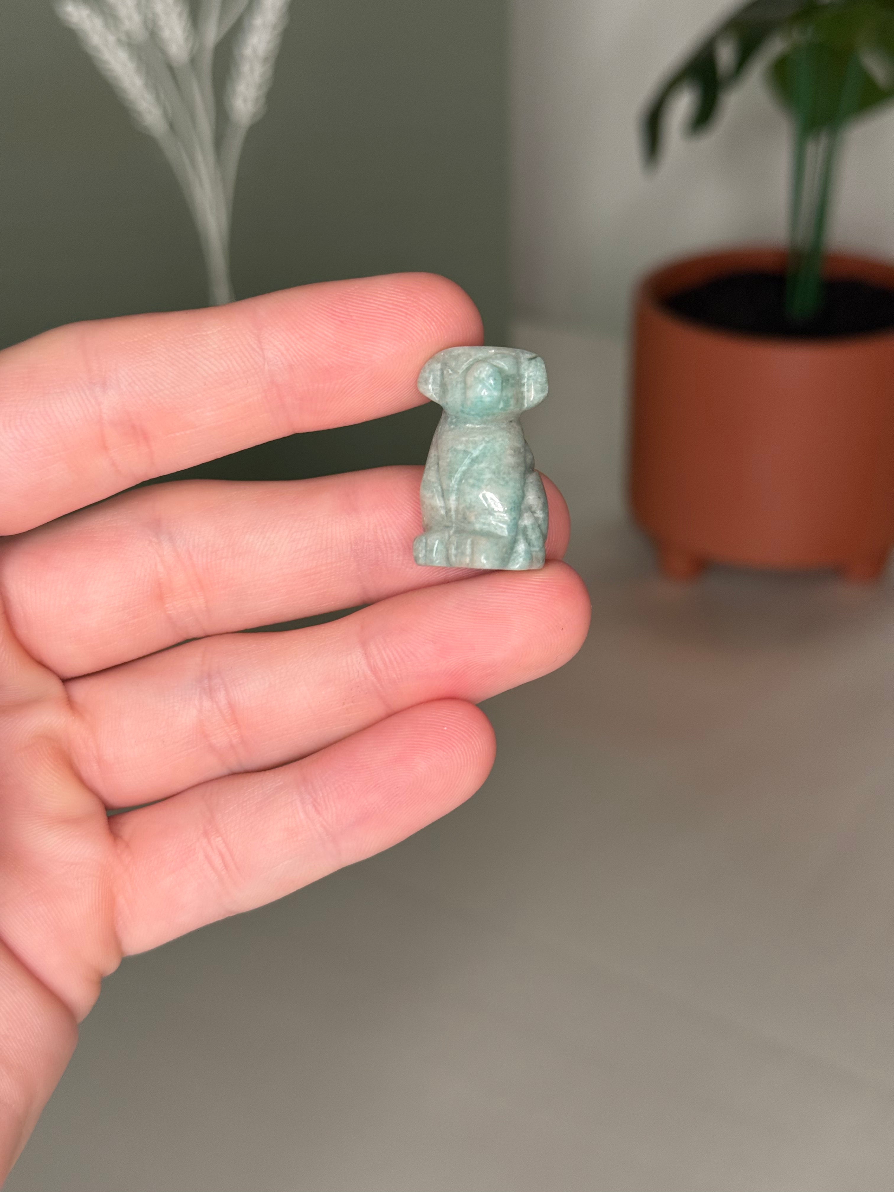 Mini dog