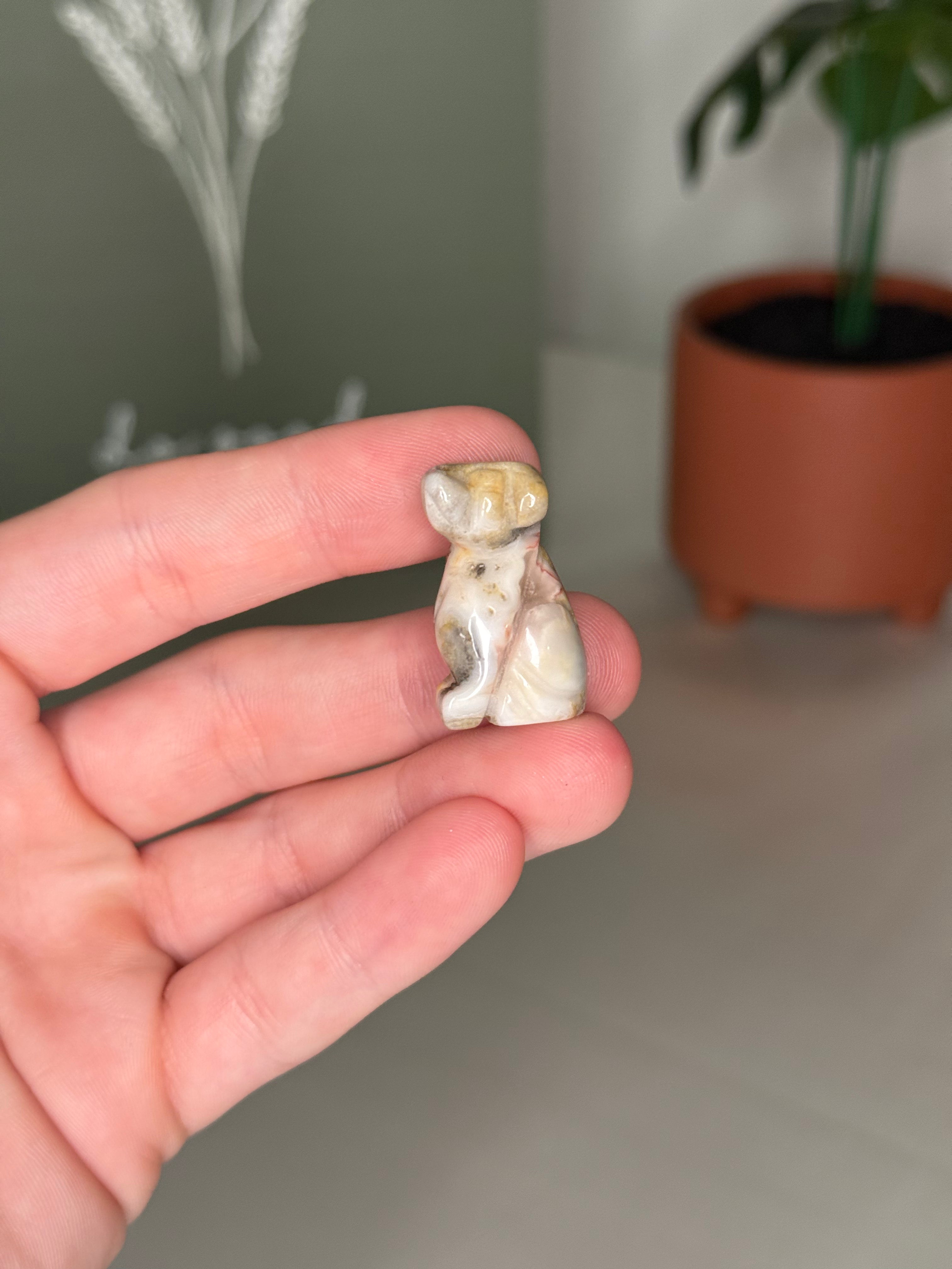 Mini dog