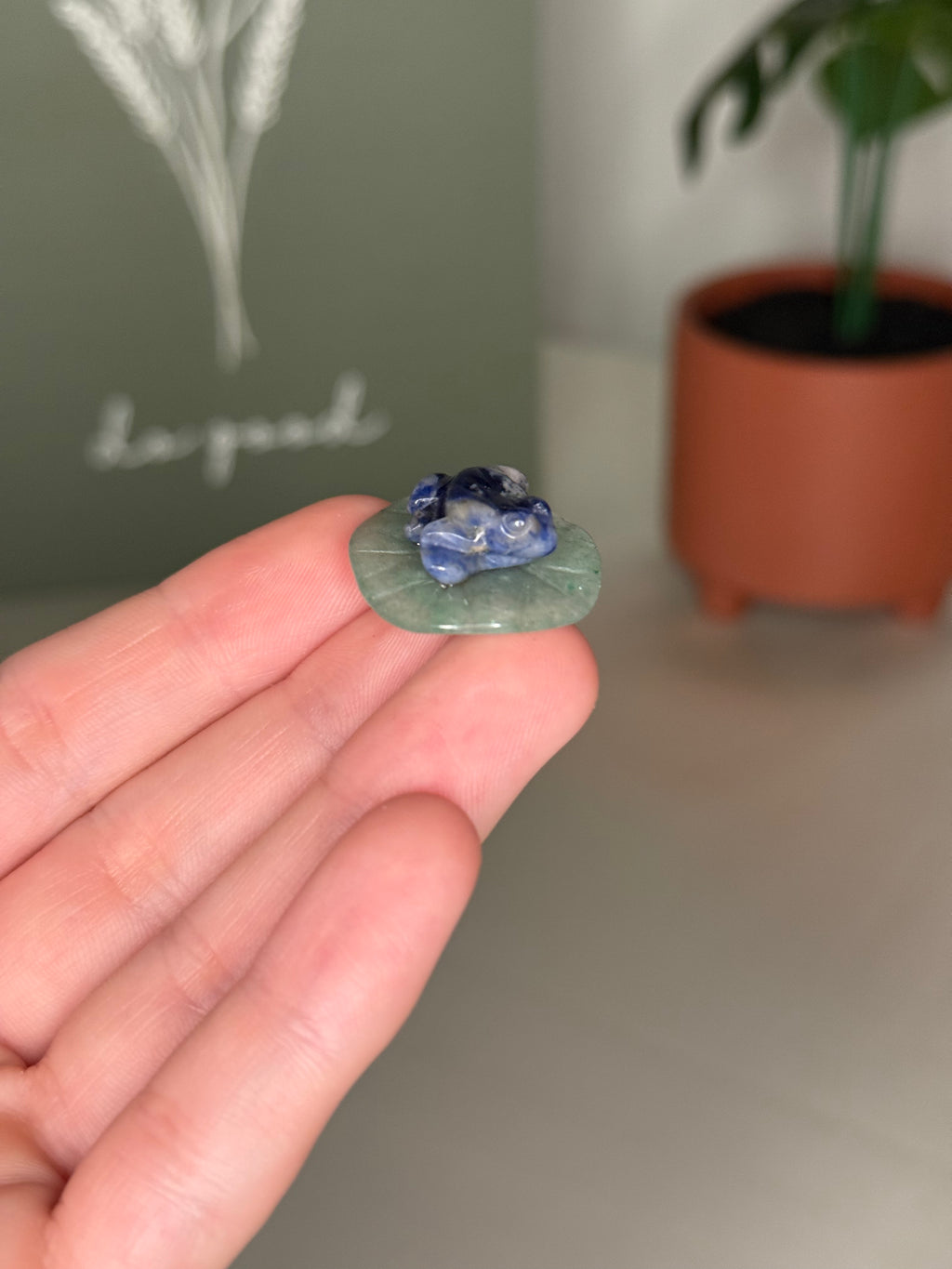 Frog on lily pad