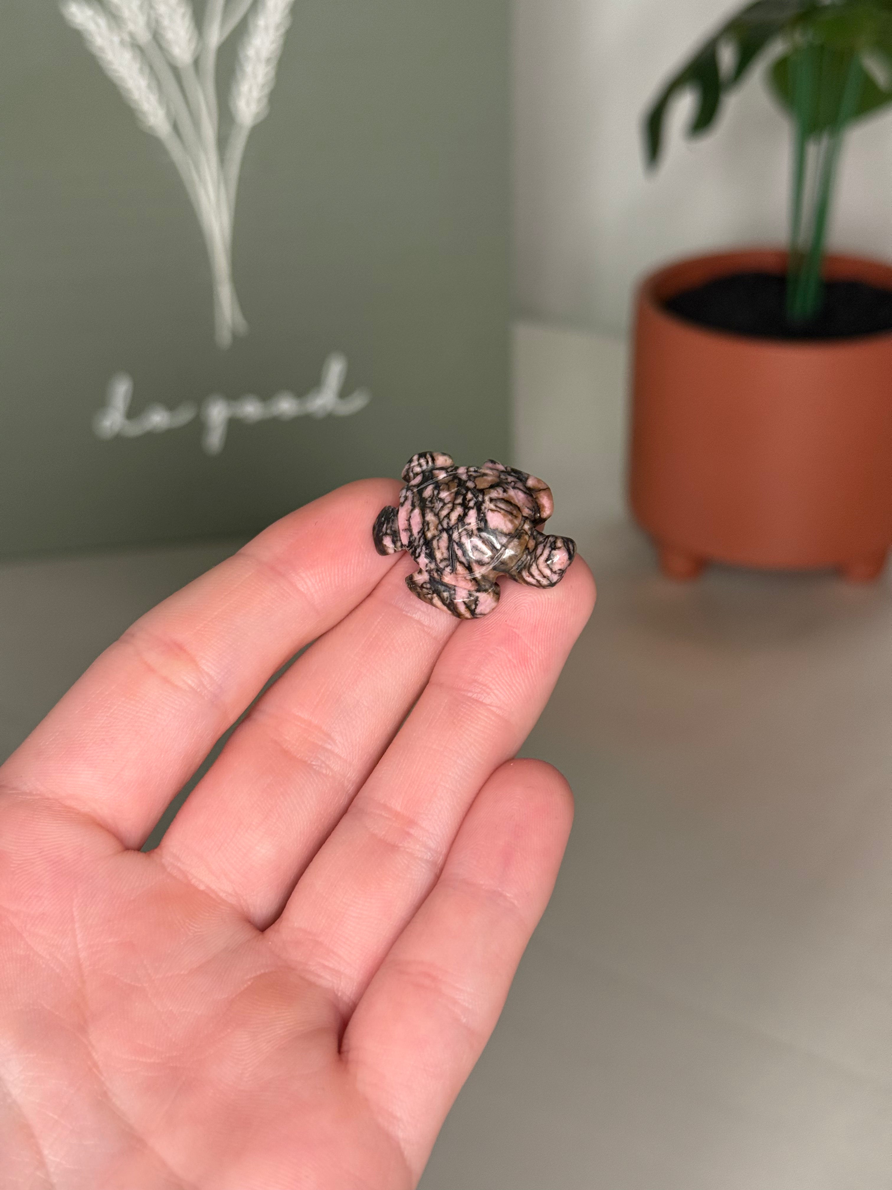 Mini sea turtle