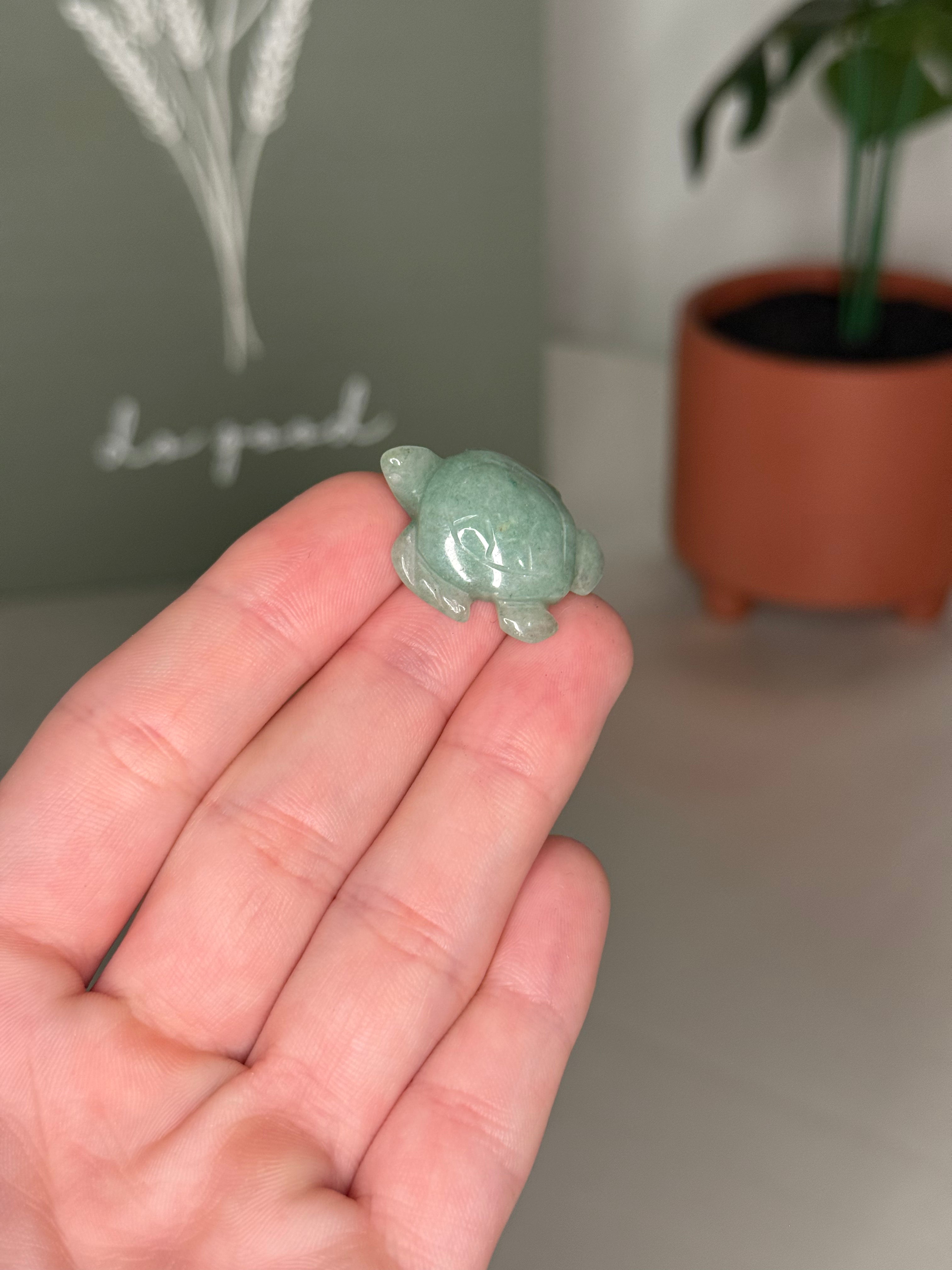 Mini sea turtle