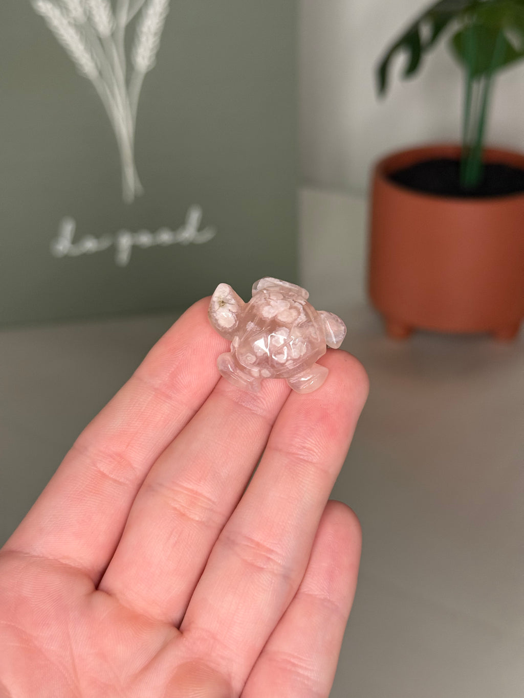 Mini sea turtle