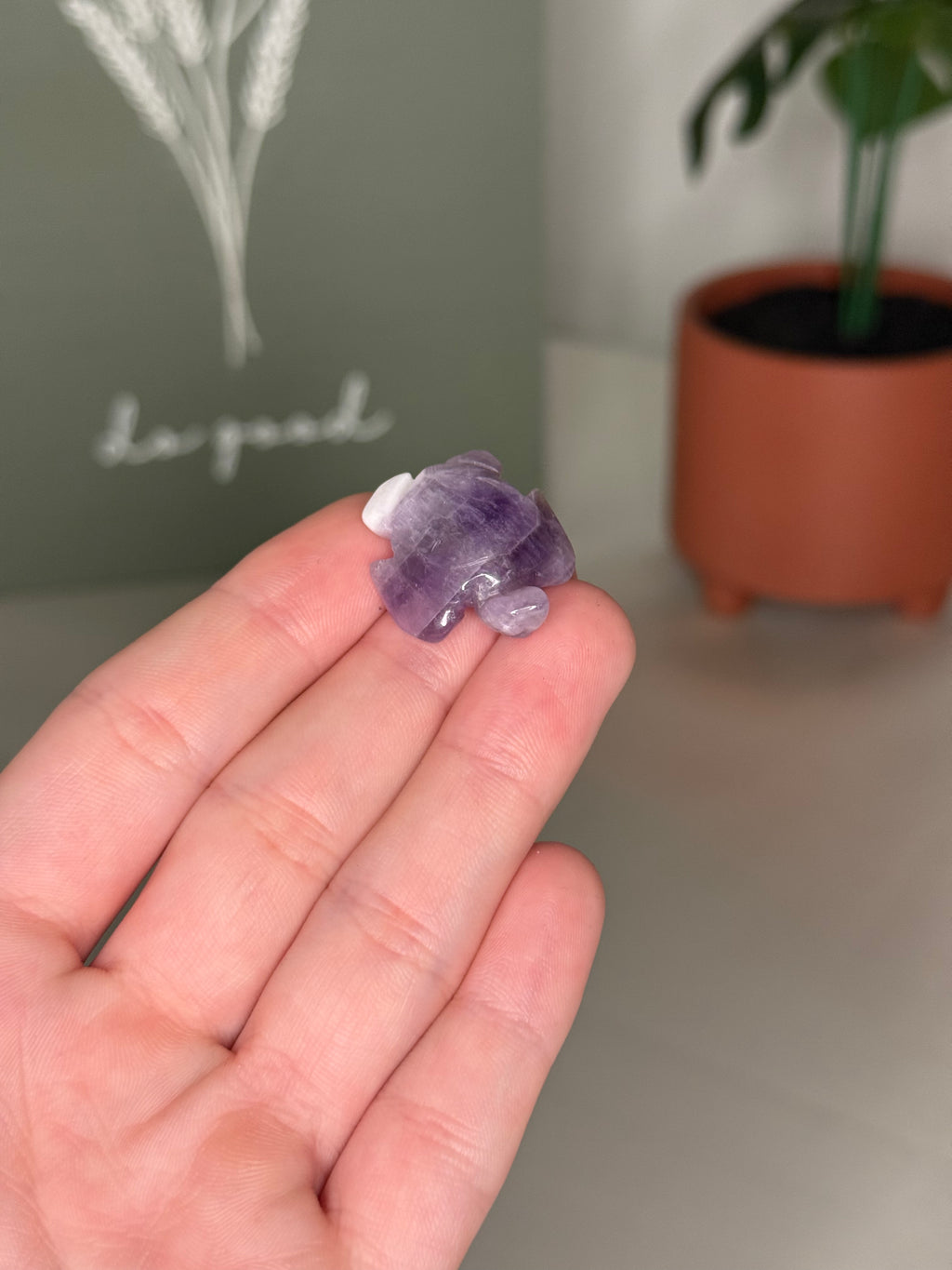 Mini sea turtle