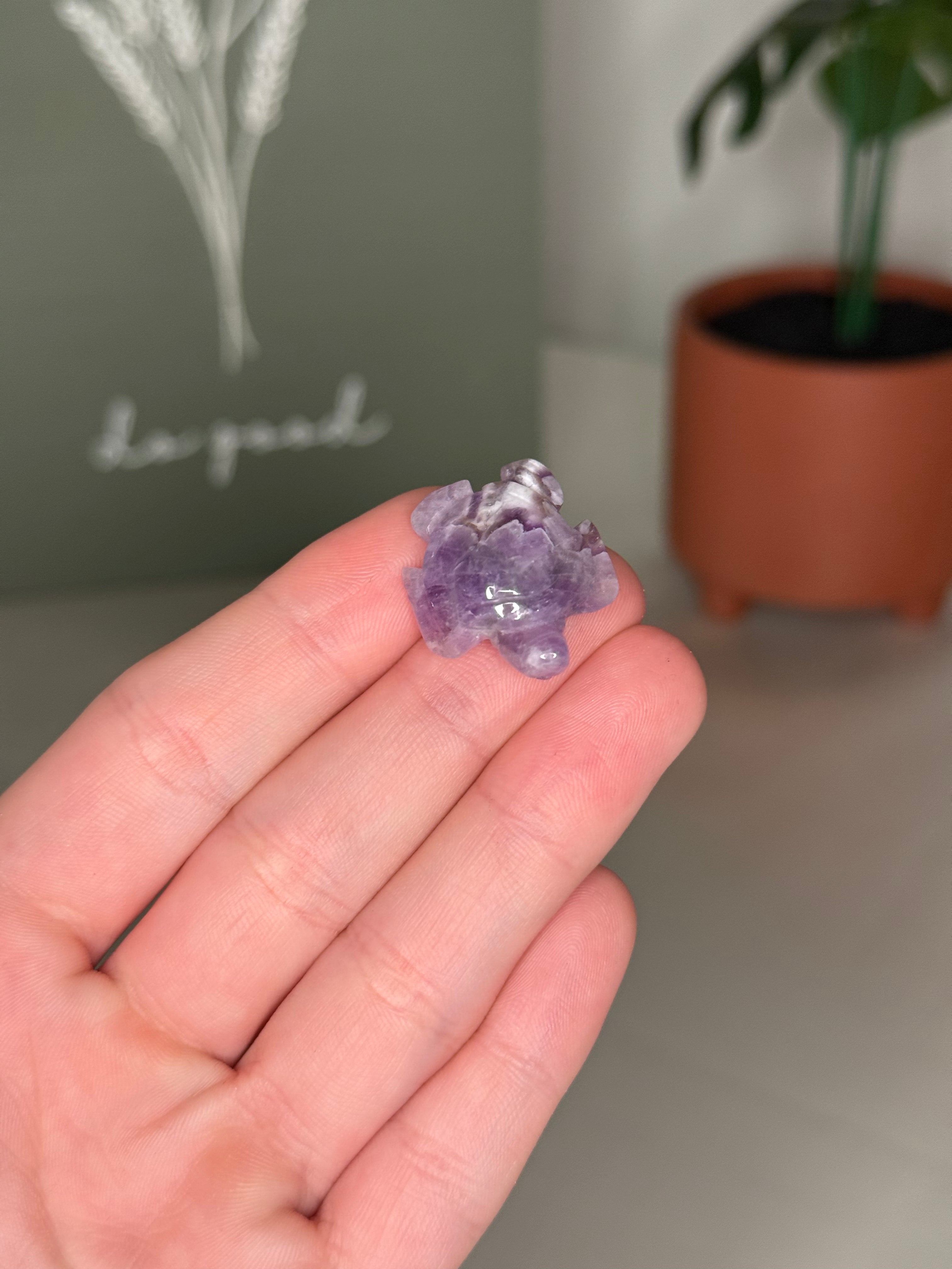 Mini sea turtle