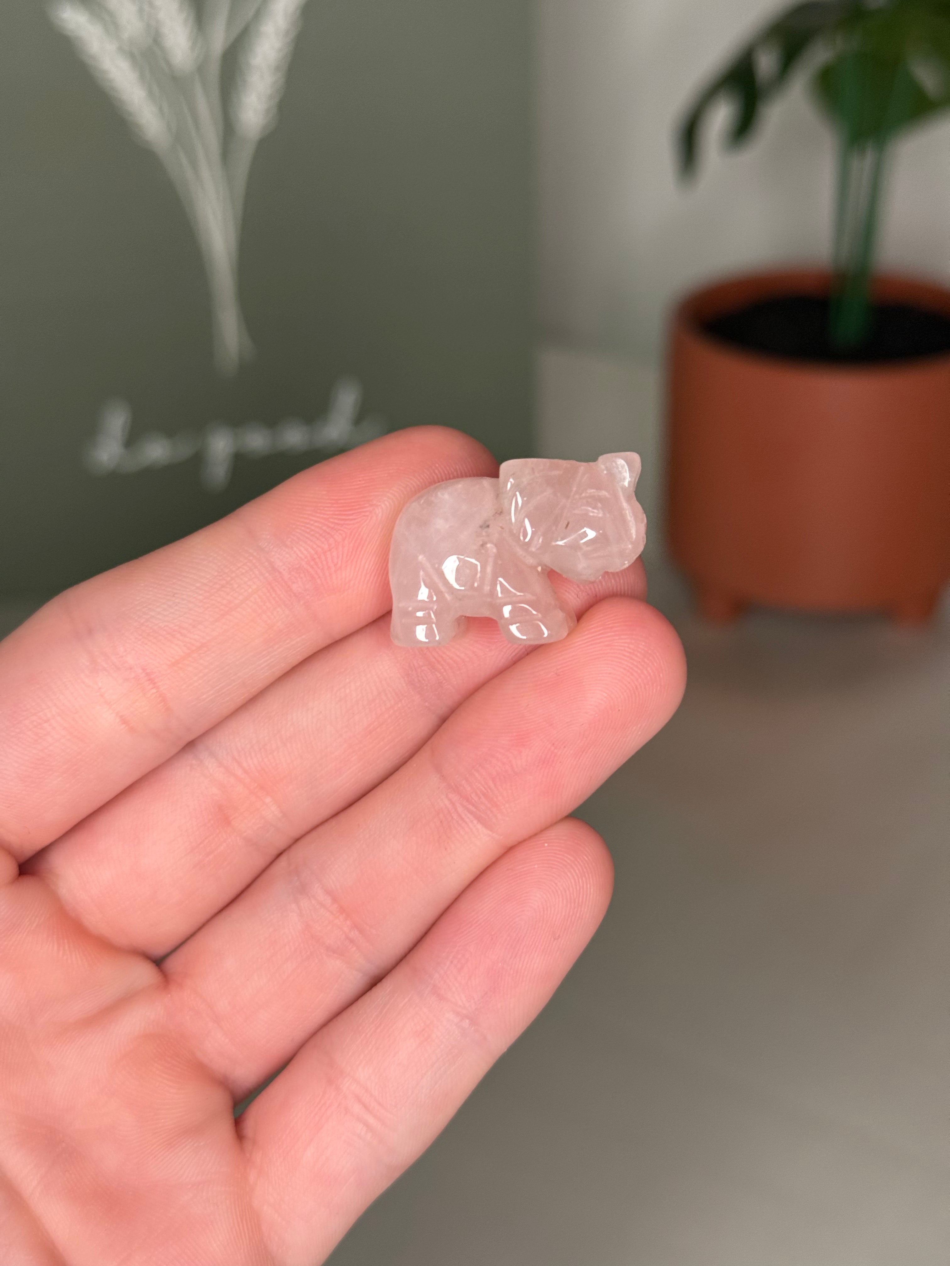 Mini elephant