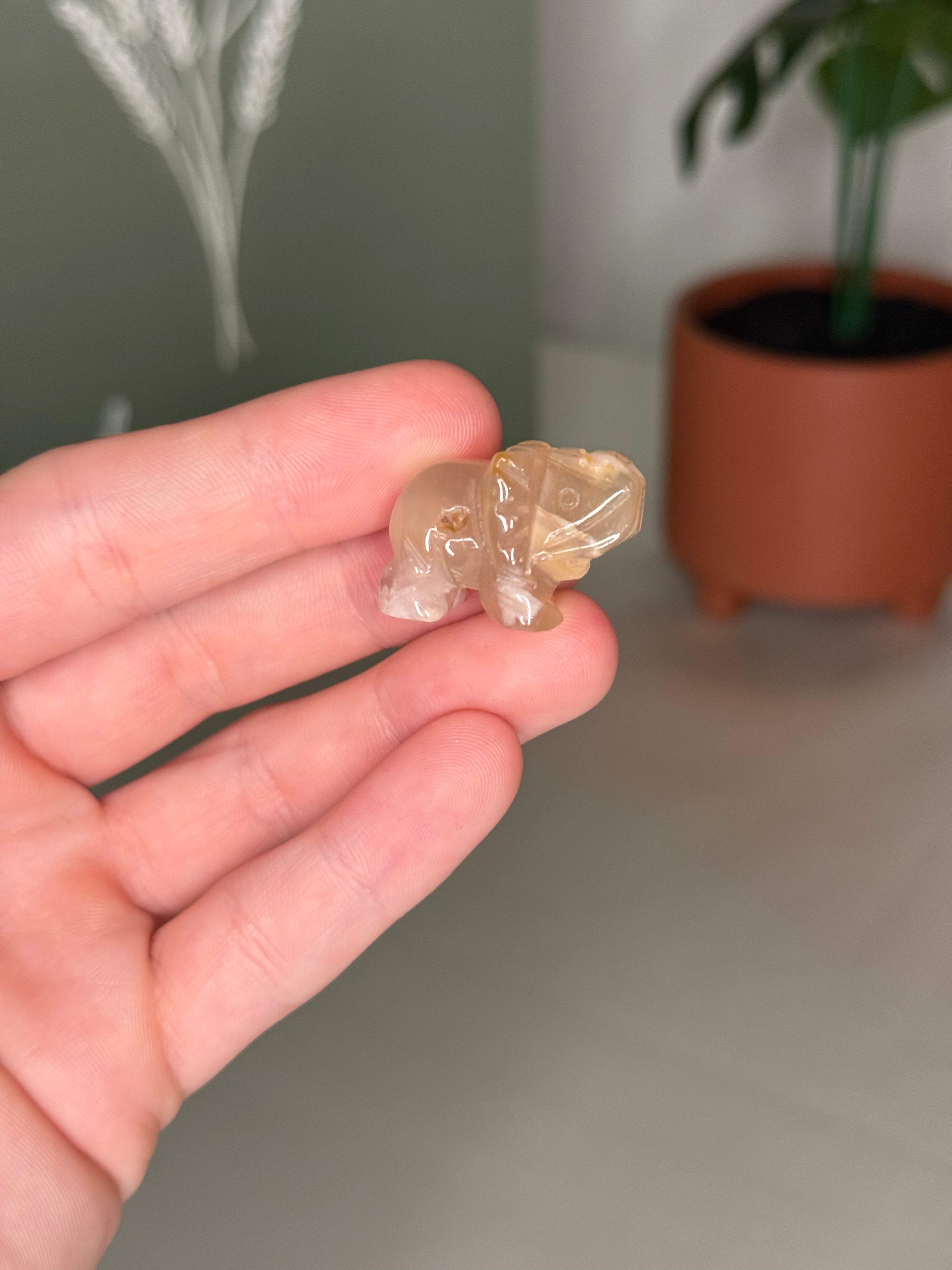 Mini elephant