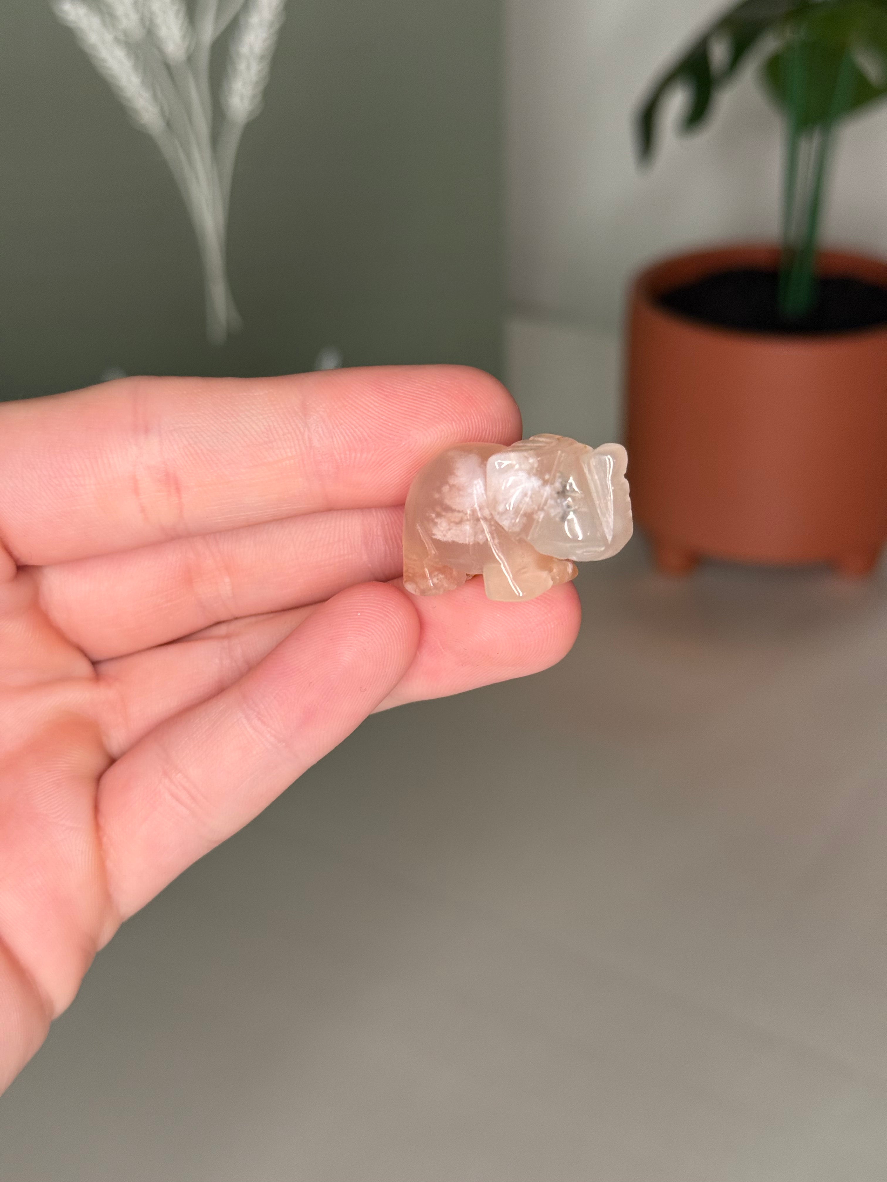 Mini elephant