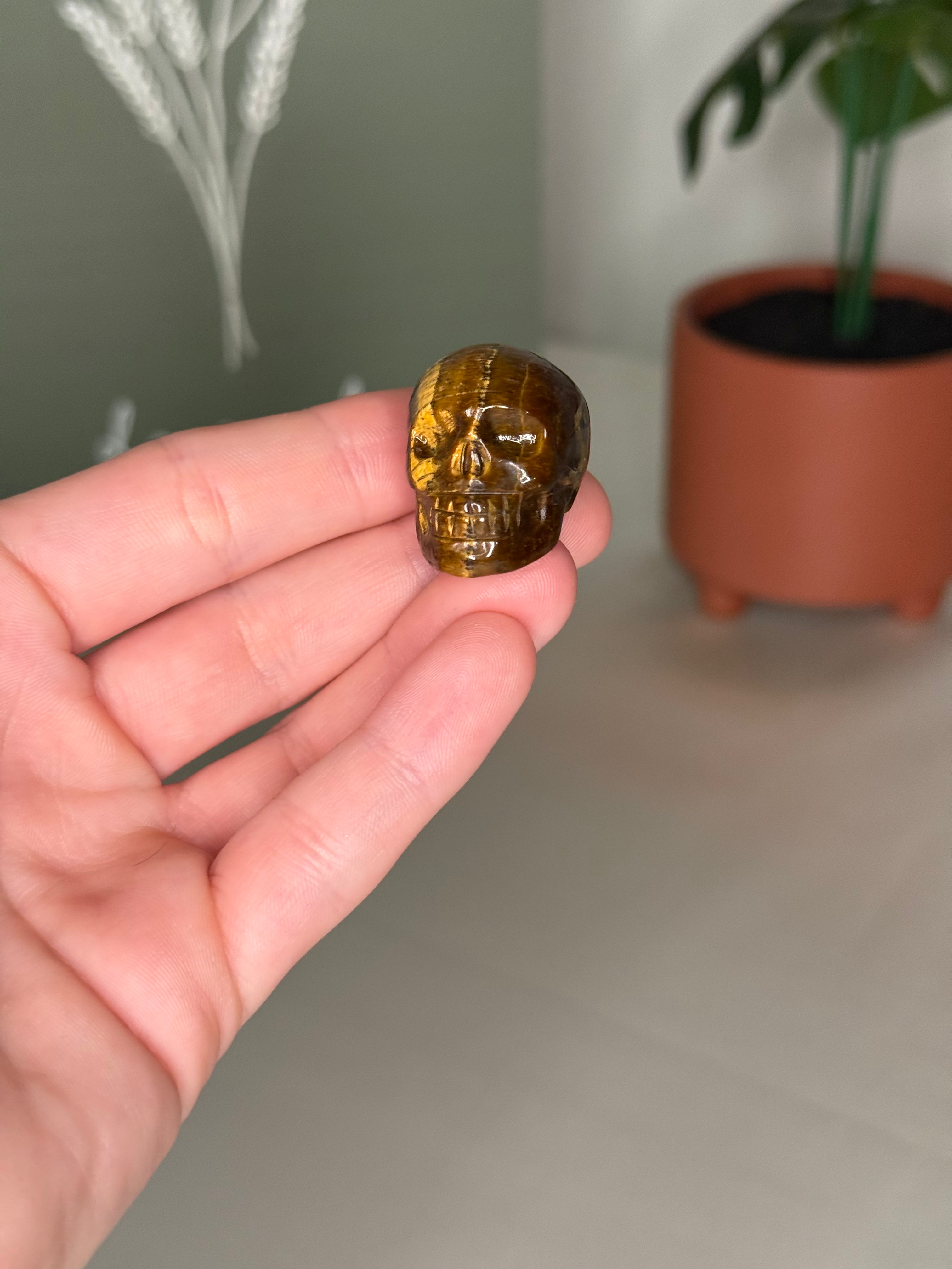Mini skull