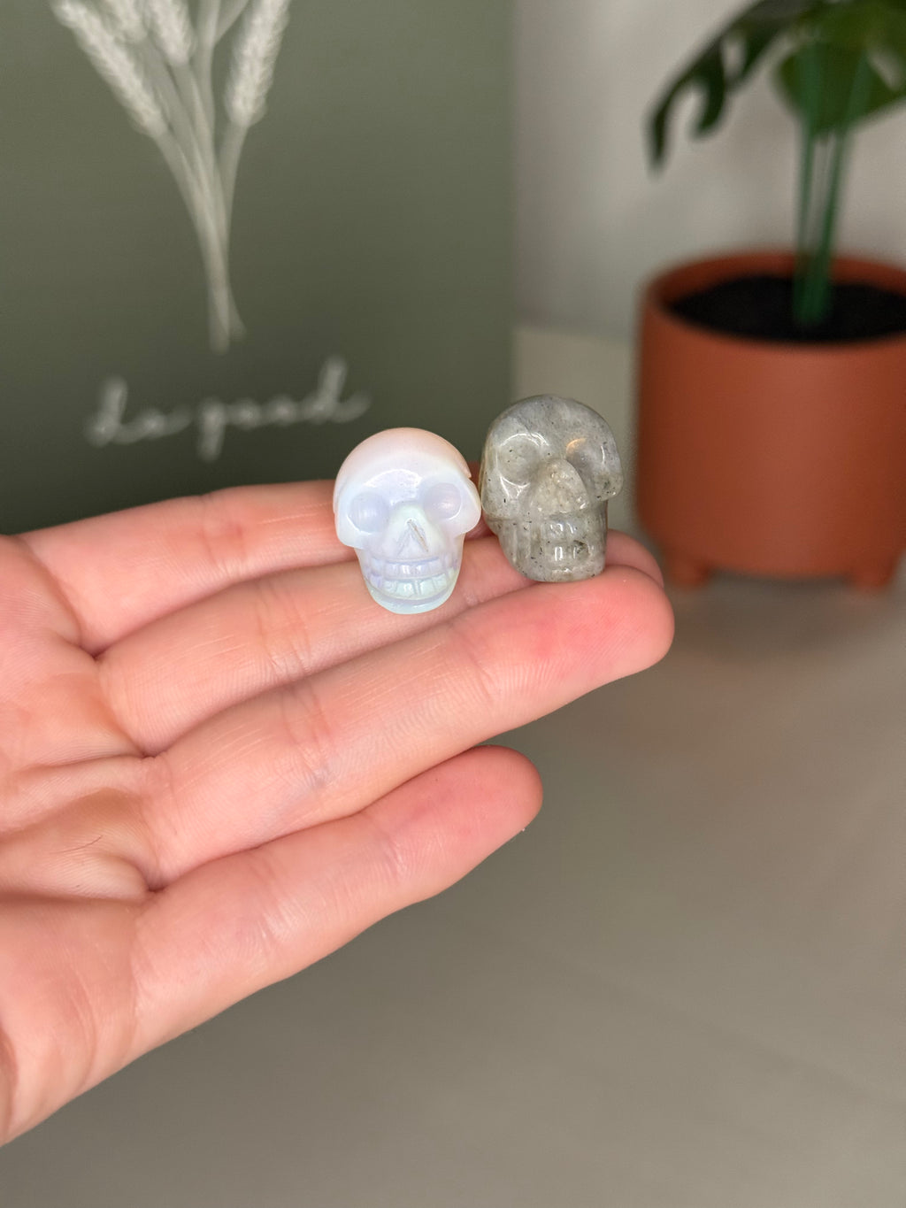 Mini skull