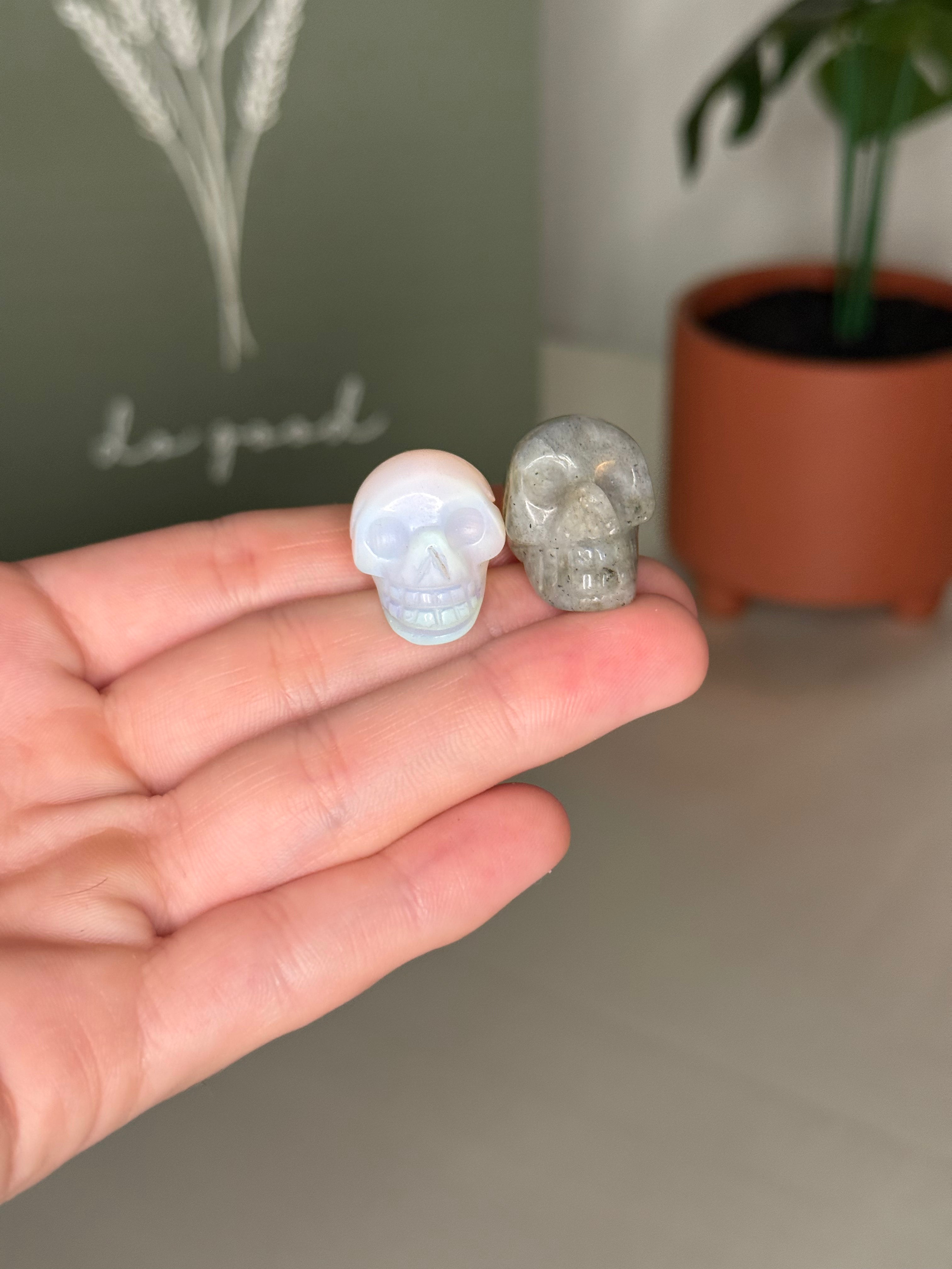 Mini skull