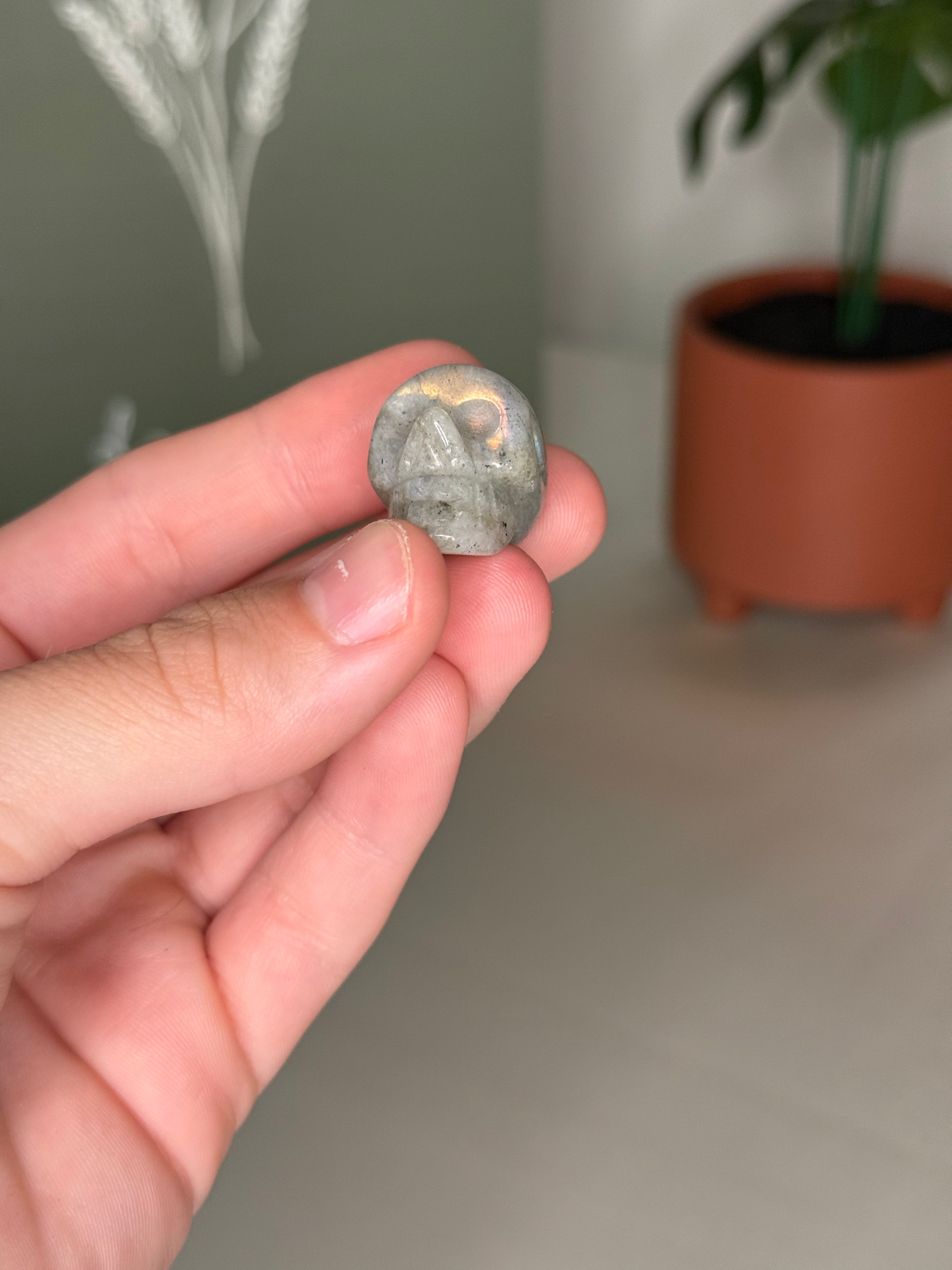 Mini skull