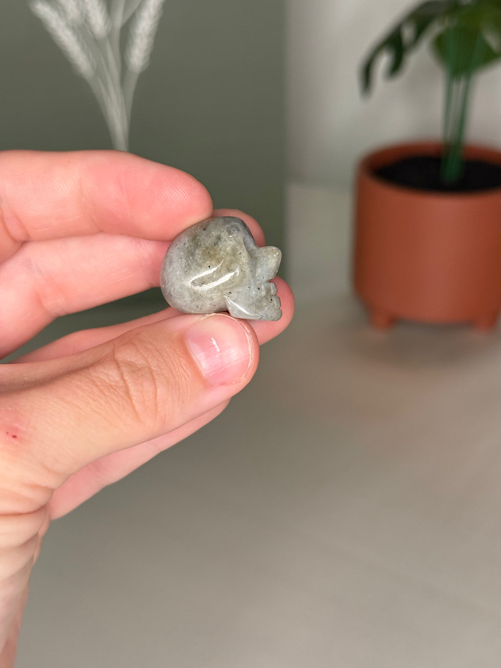 Mini skull