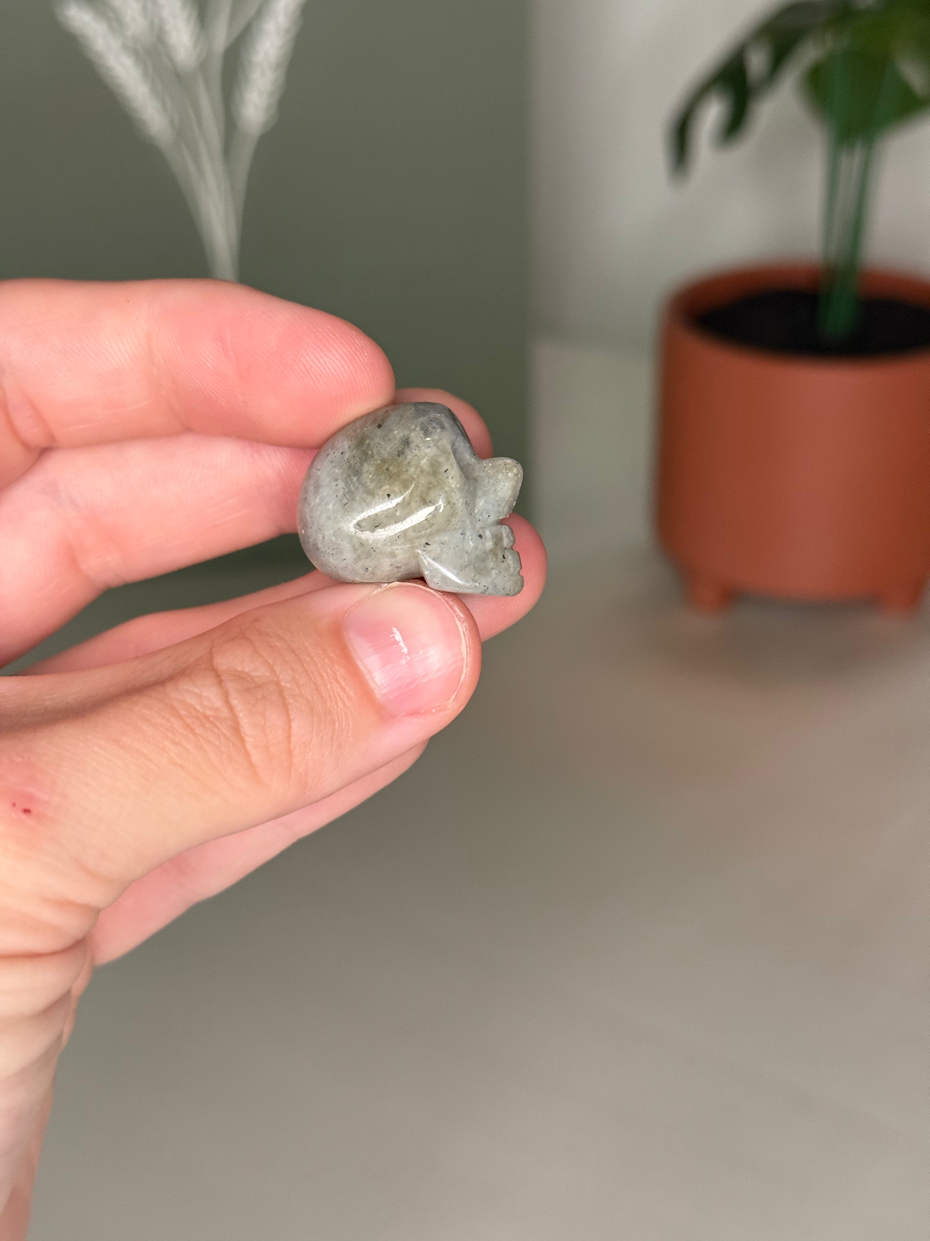 Mini skull