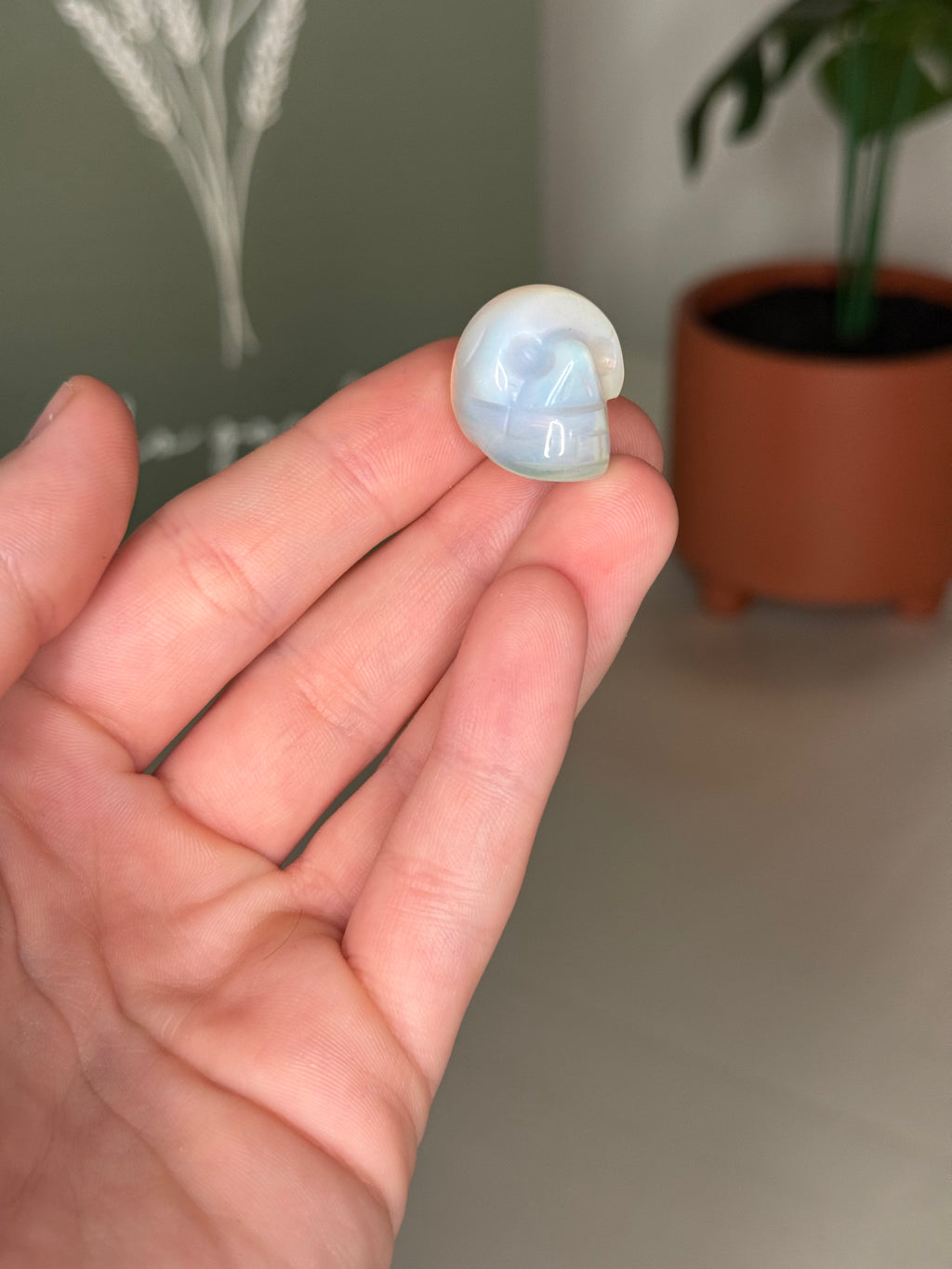 Mini skull