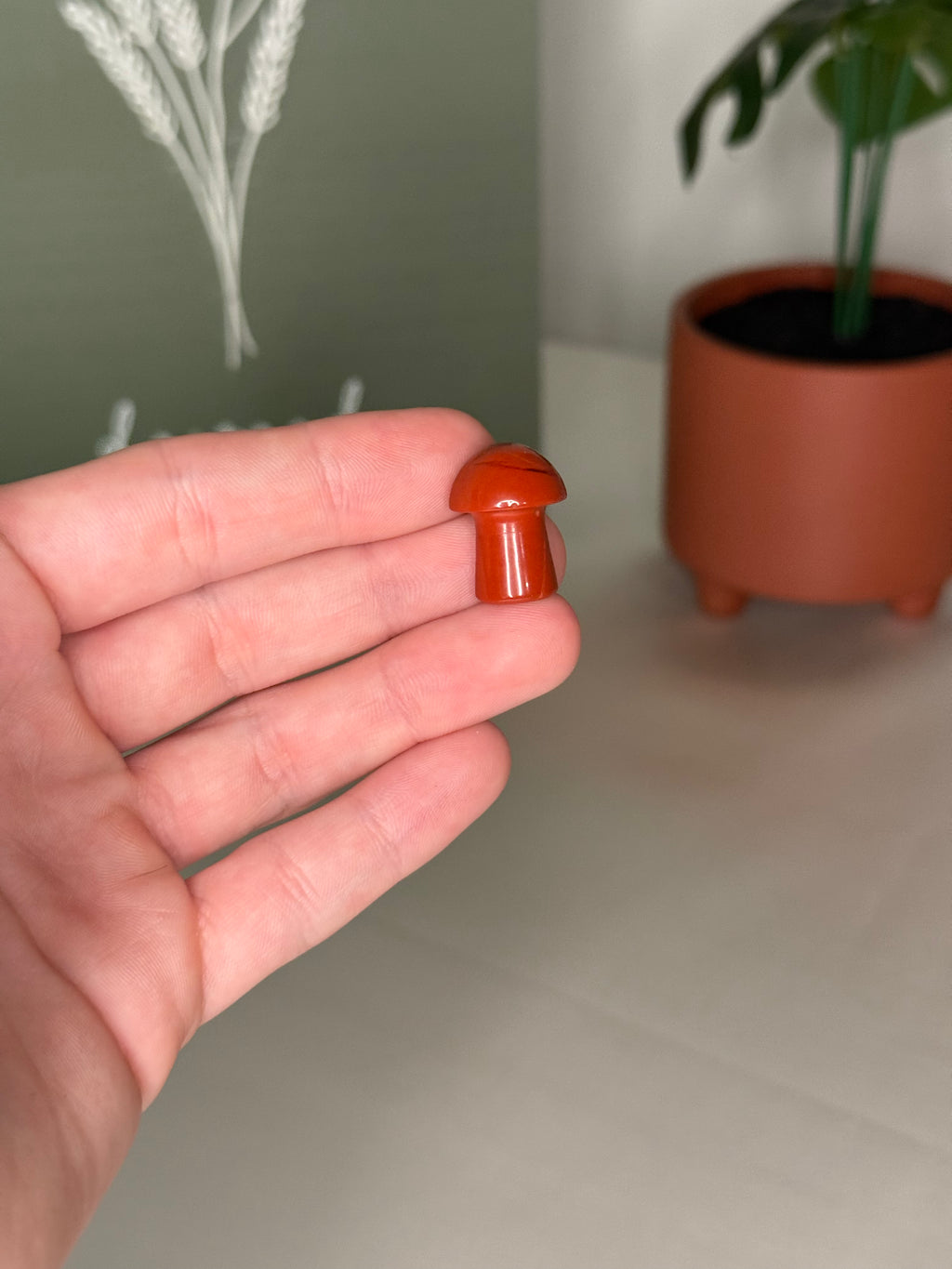 Mystery mini mushroom