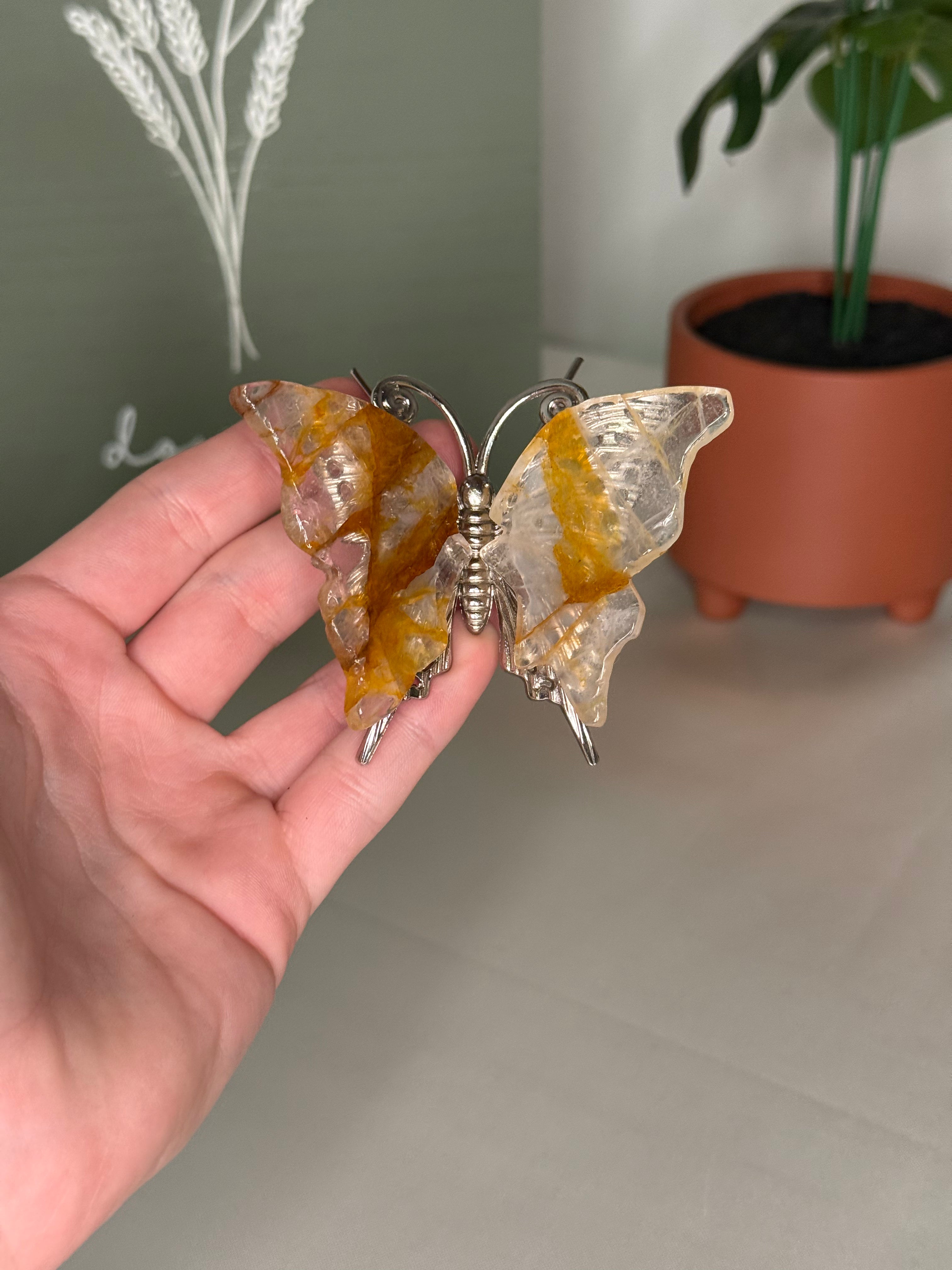 Butterflies