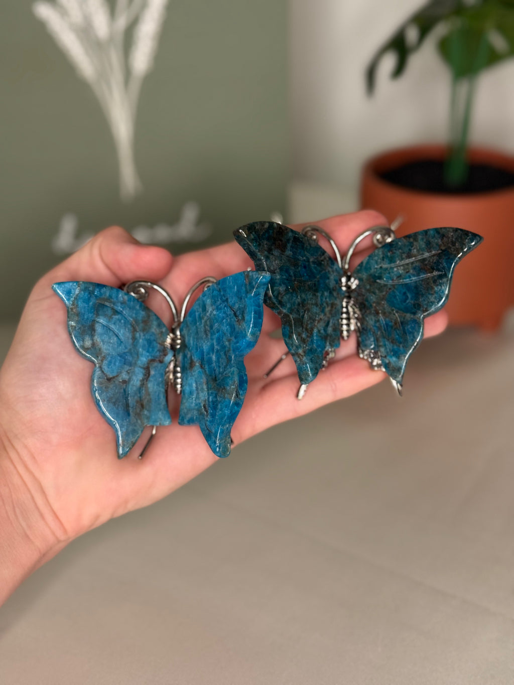 Butterflies