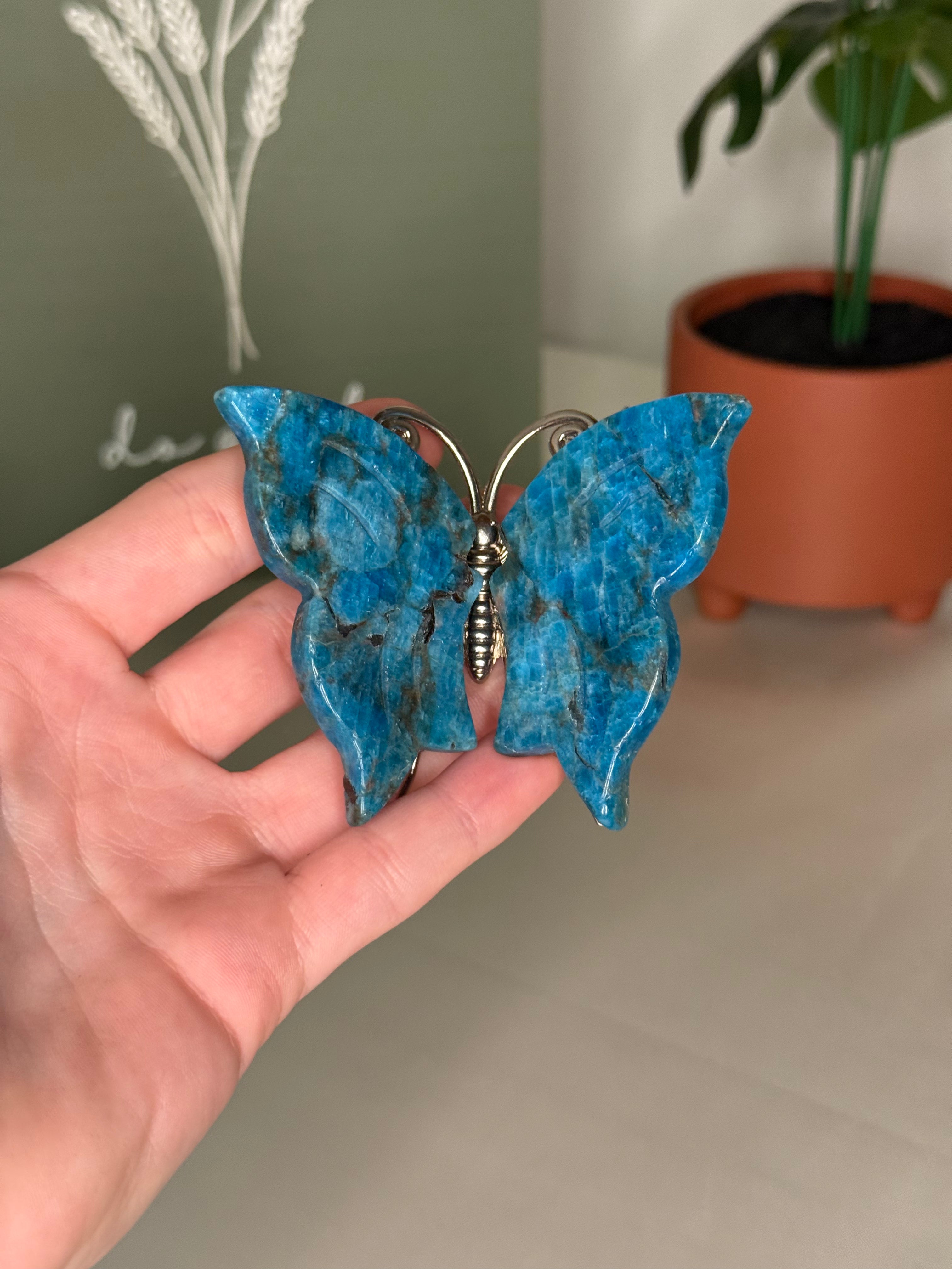 Butterflies