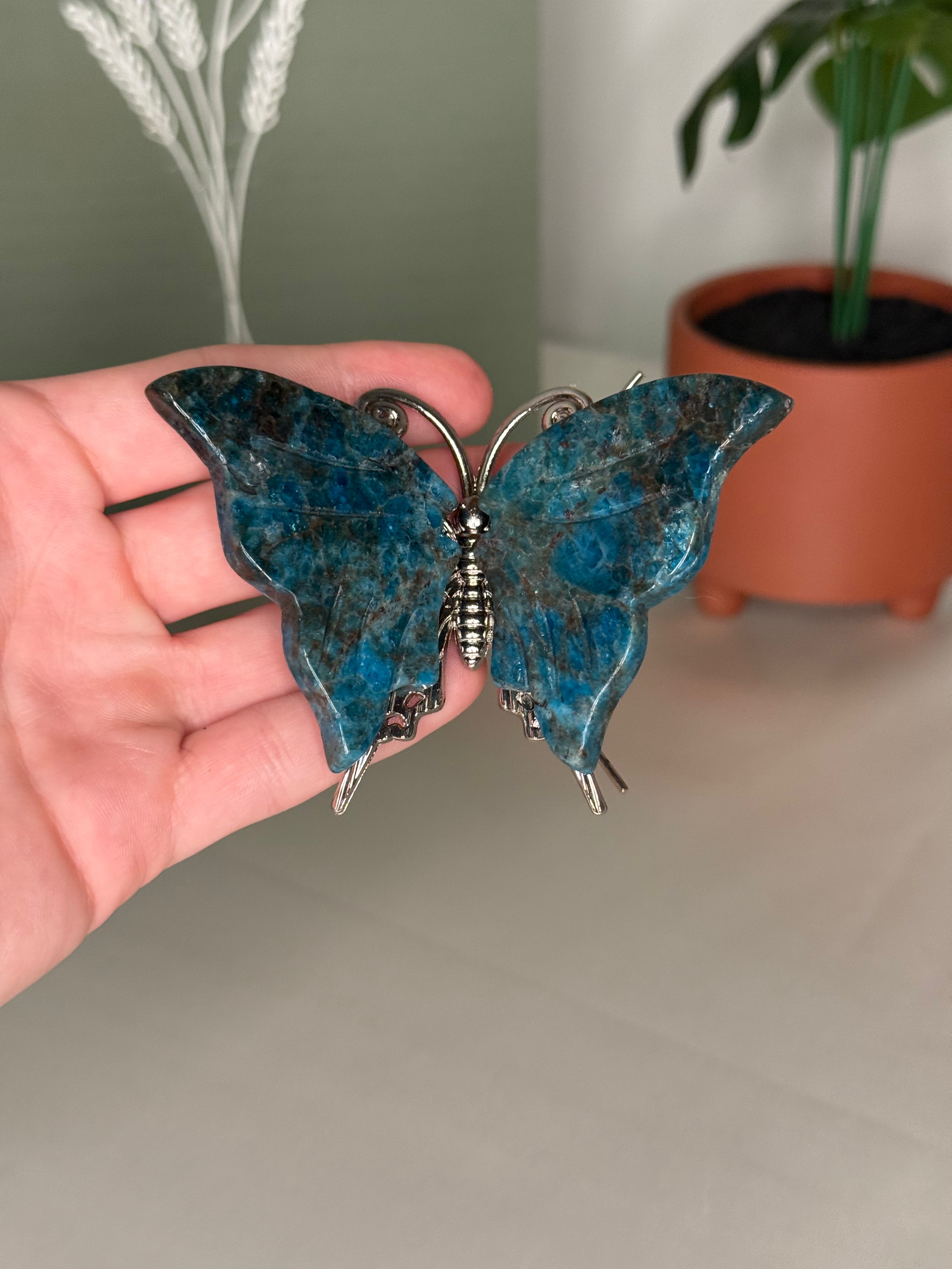 Butterflies