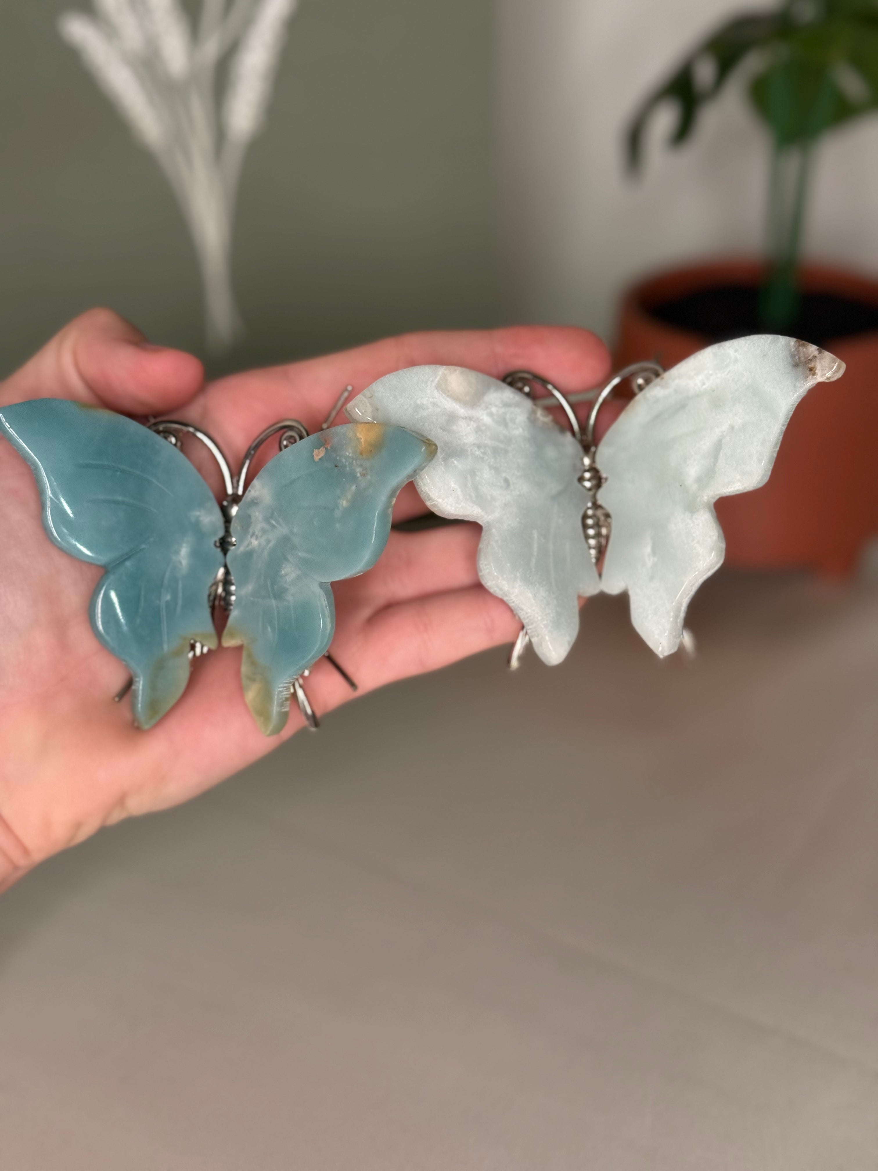 Butterflies