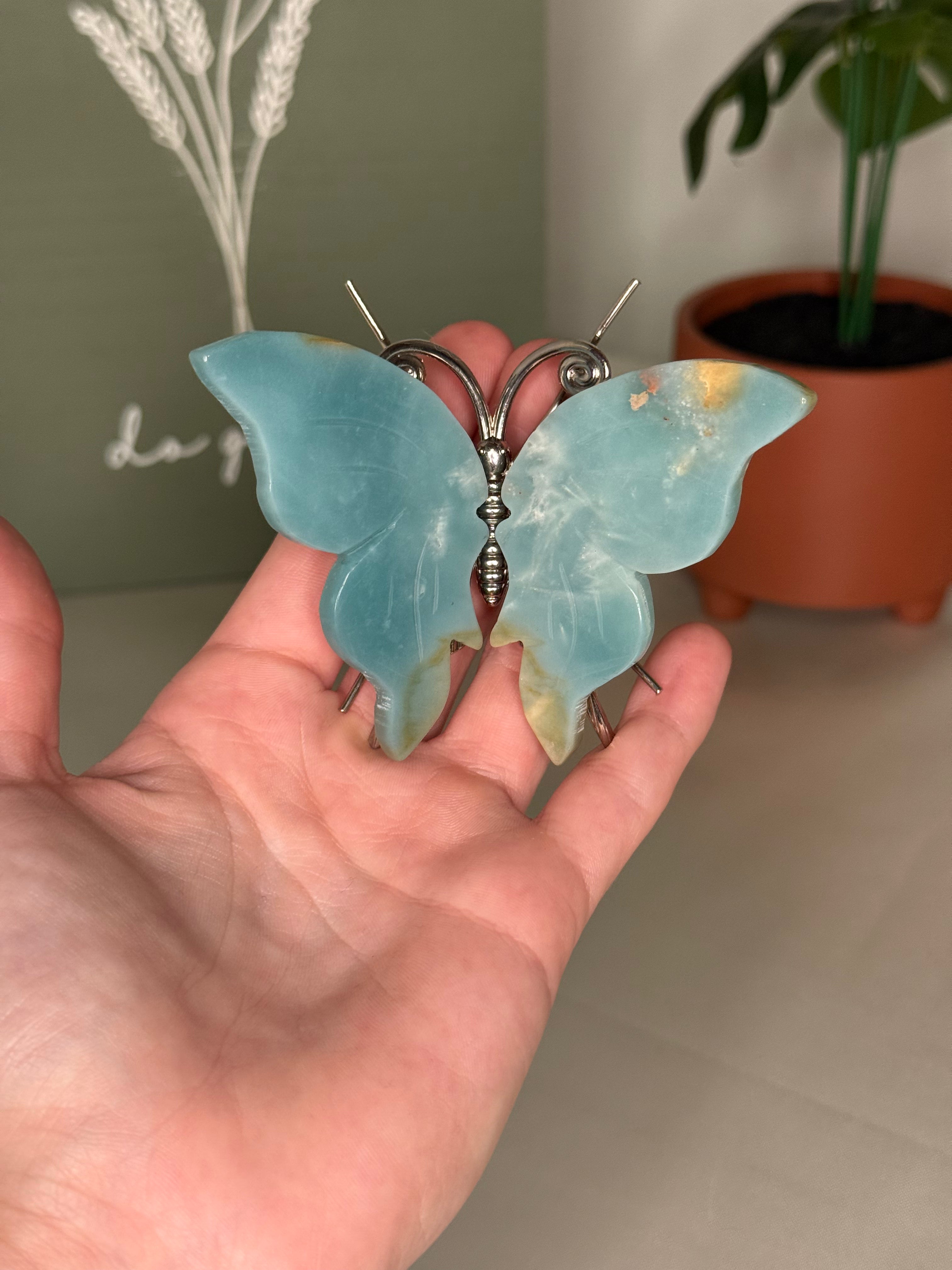 Butterflies
