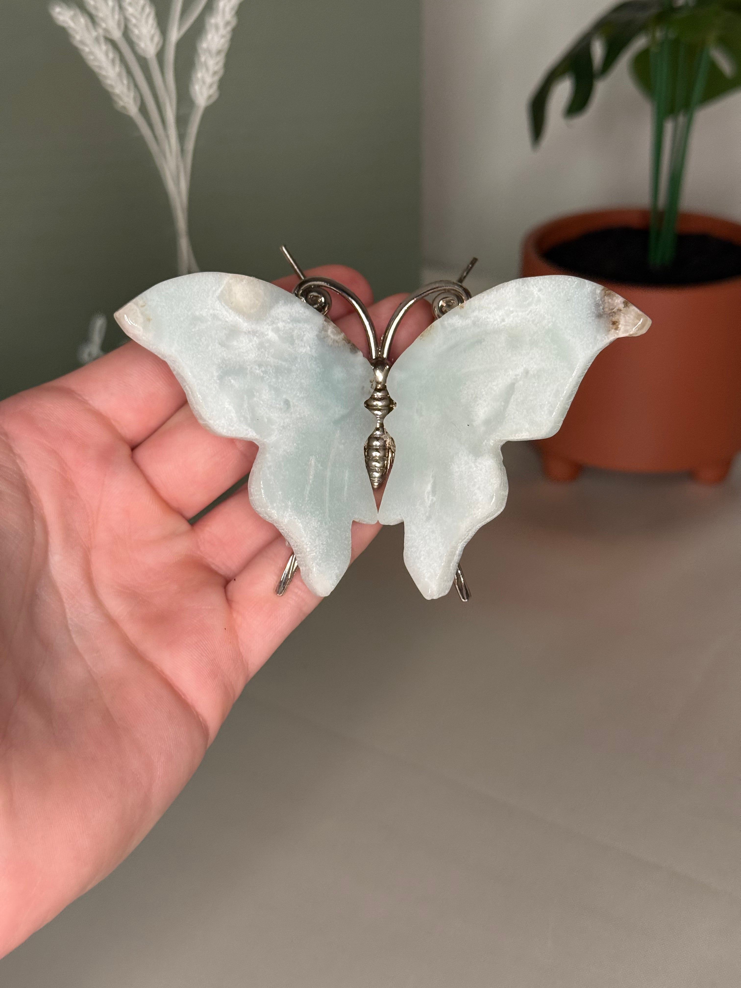 Butterflies
