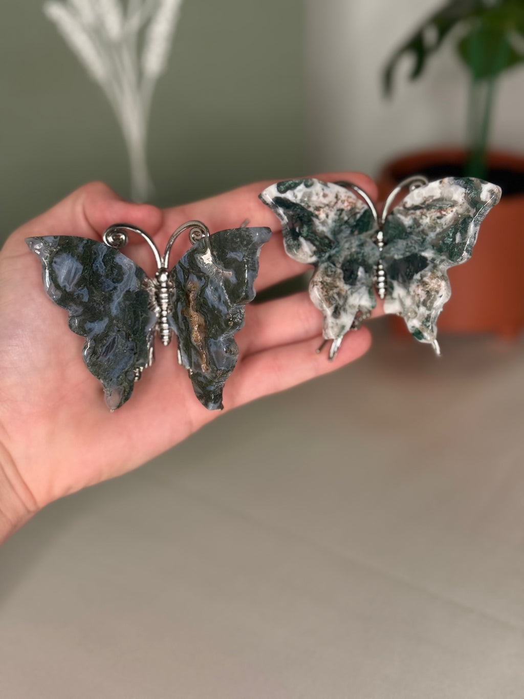 Butterflies