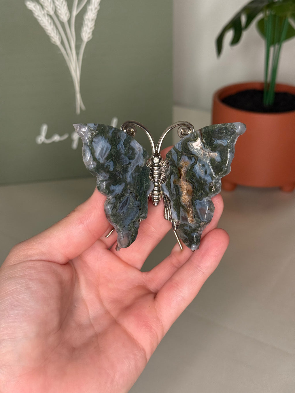 Butterflies