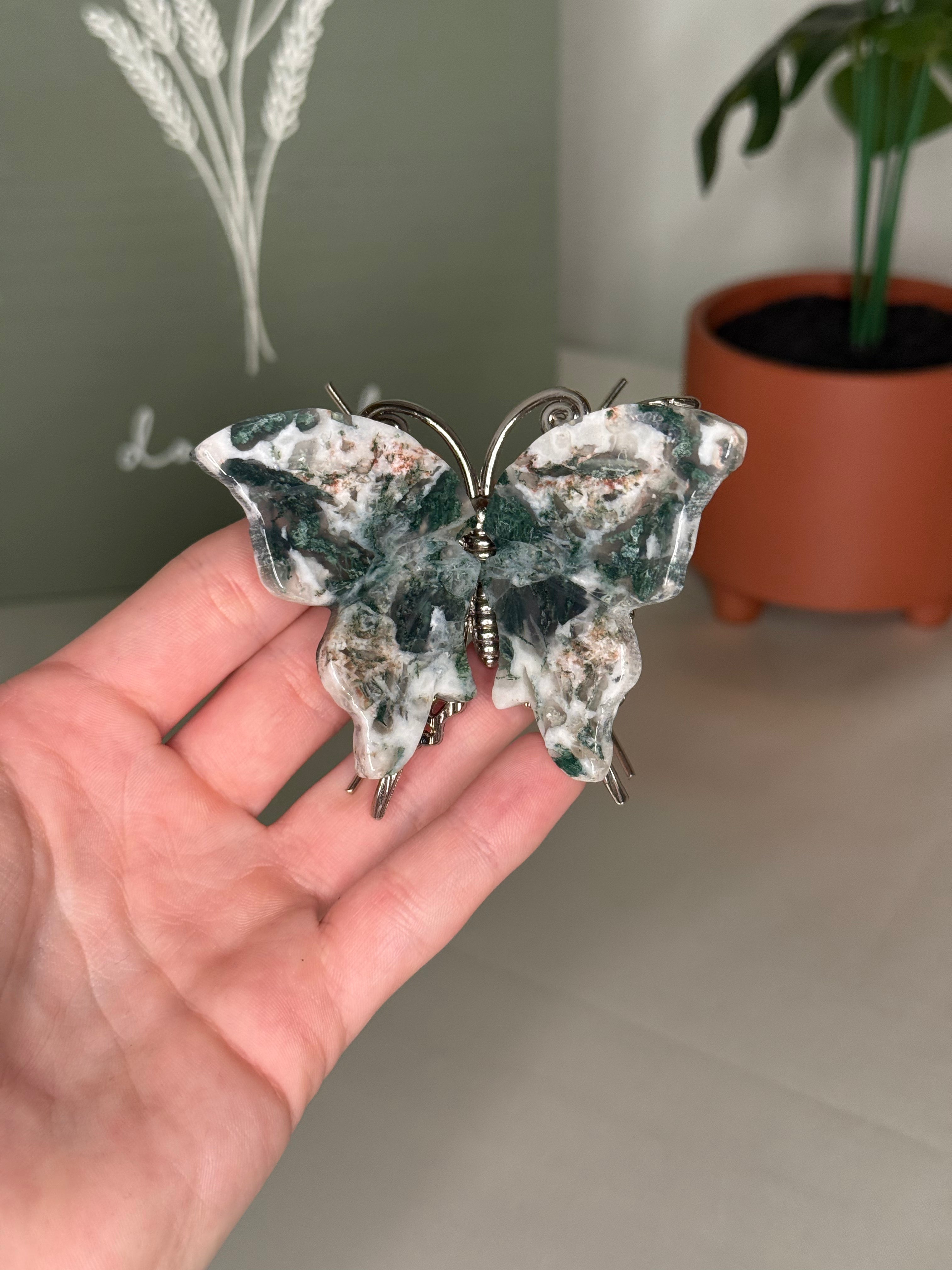 Butterflies