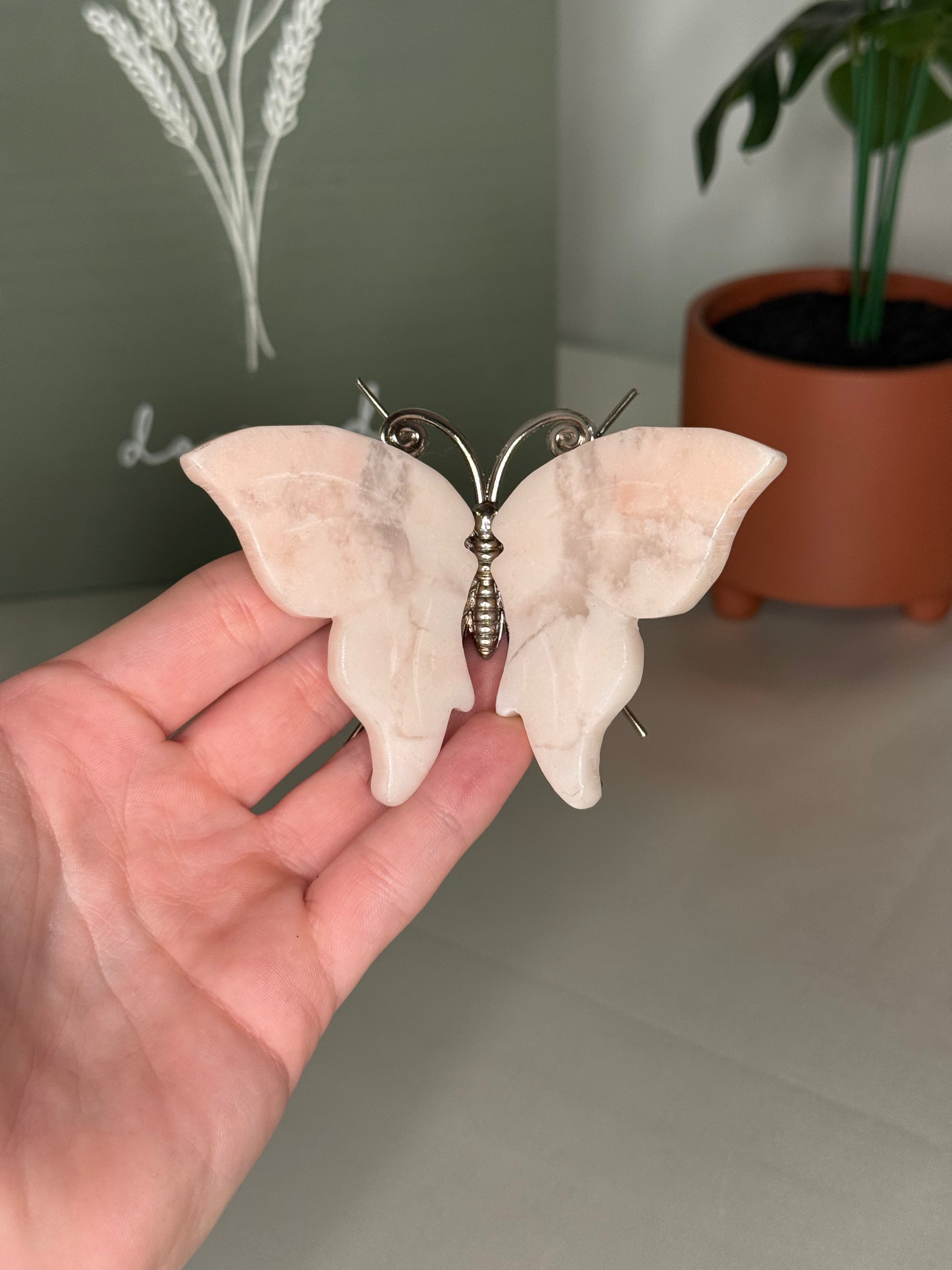 Butterflies