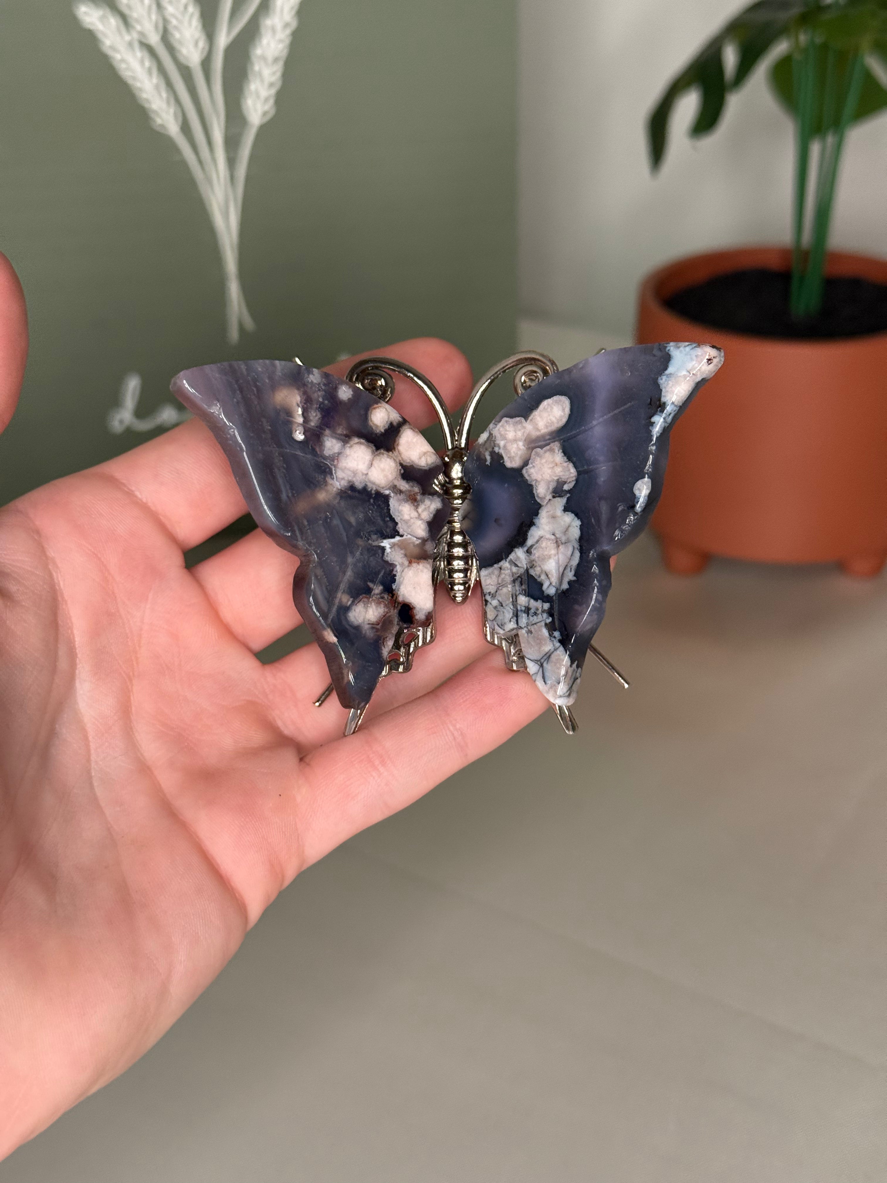 Butterflies
