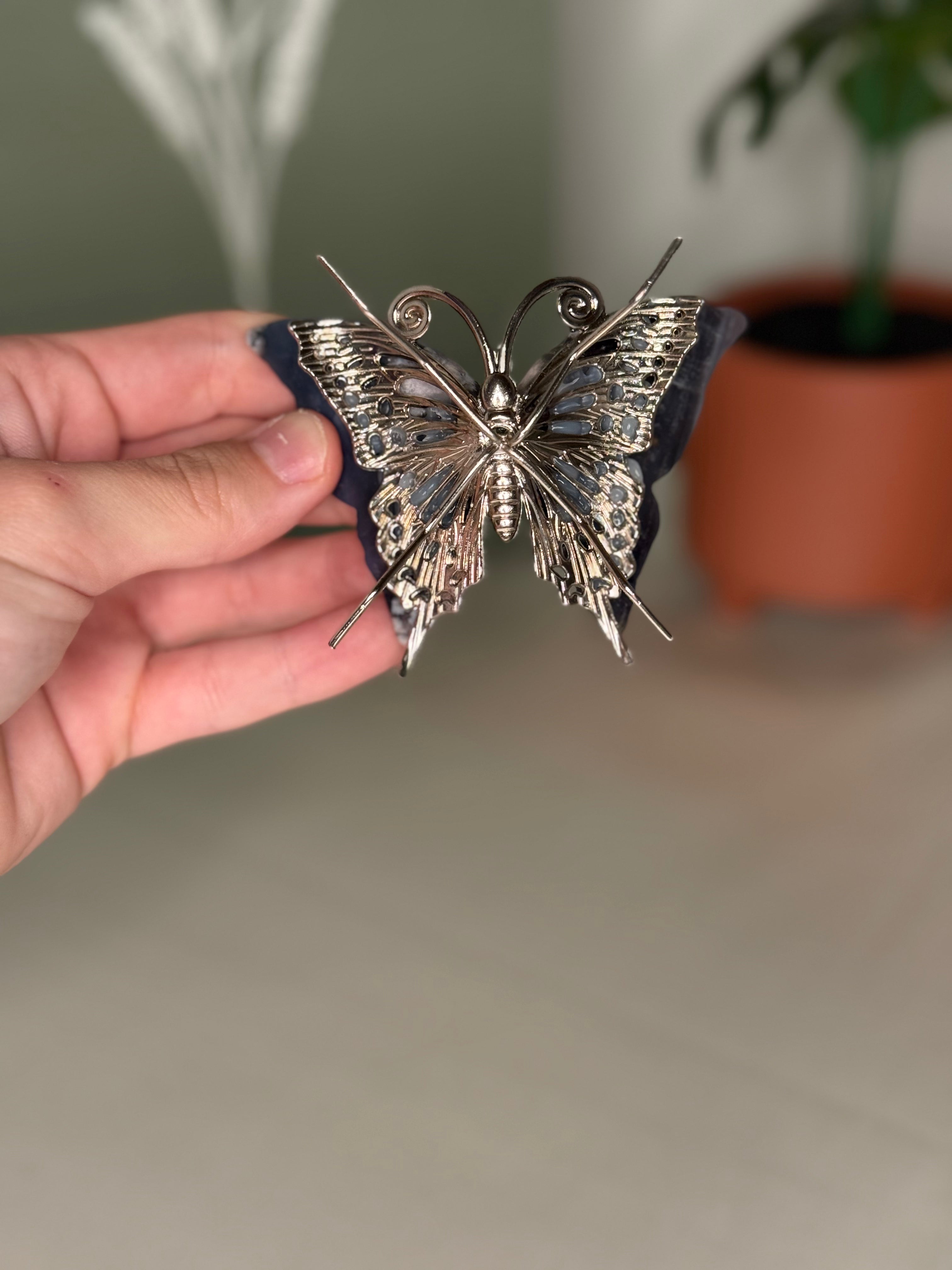 Butterflies