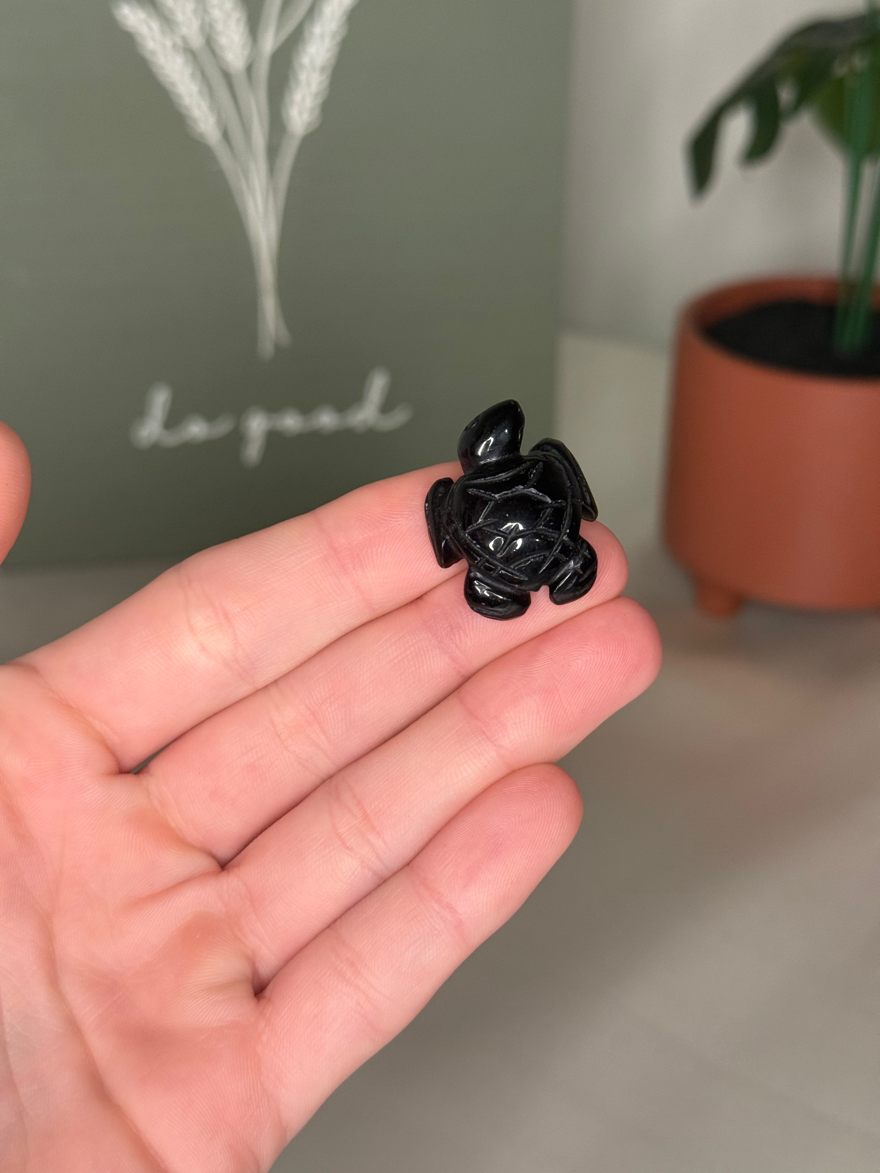 Mini sea turtle