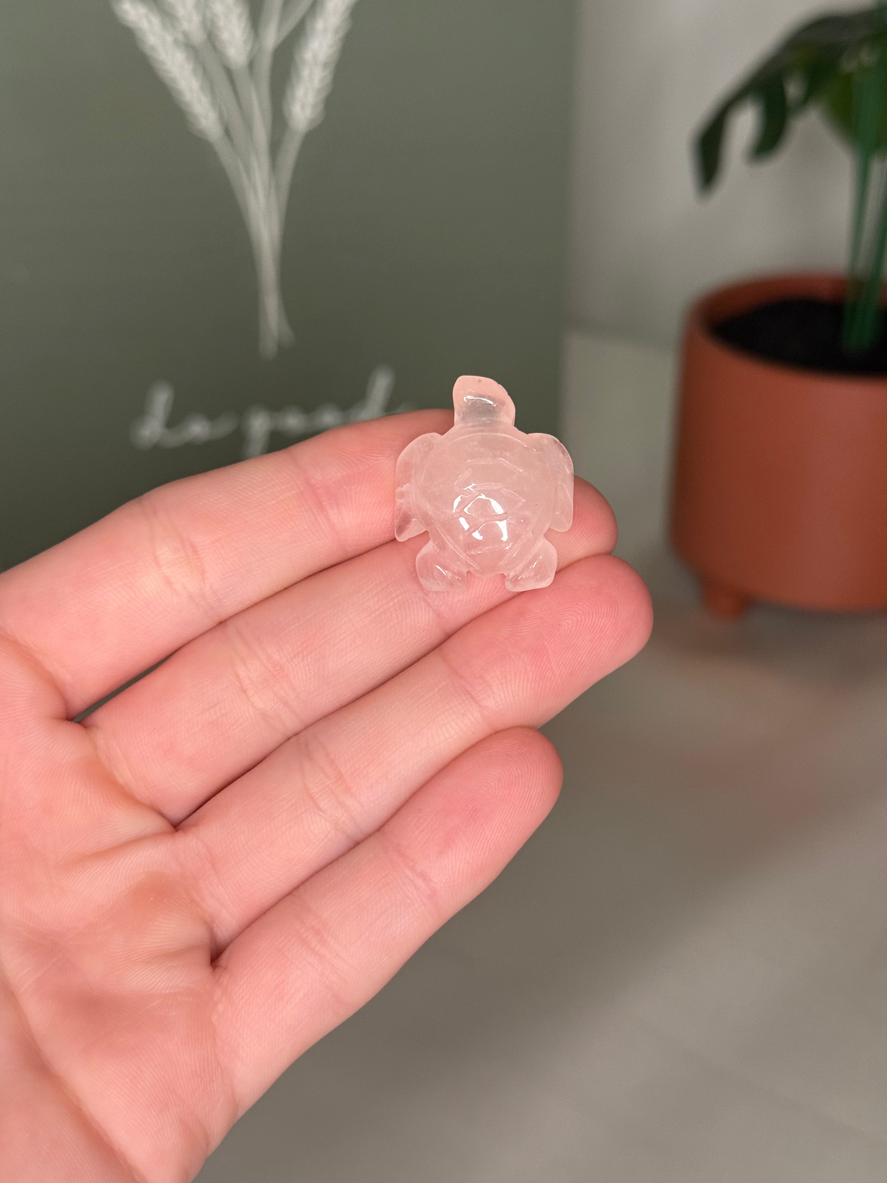 Mini sea turtle