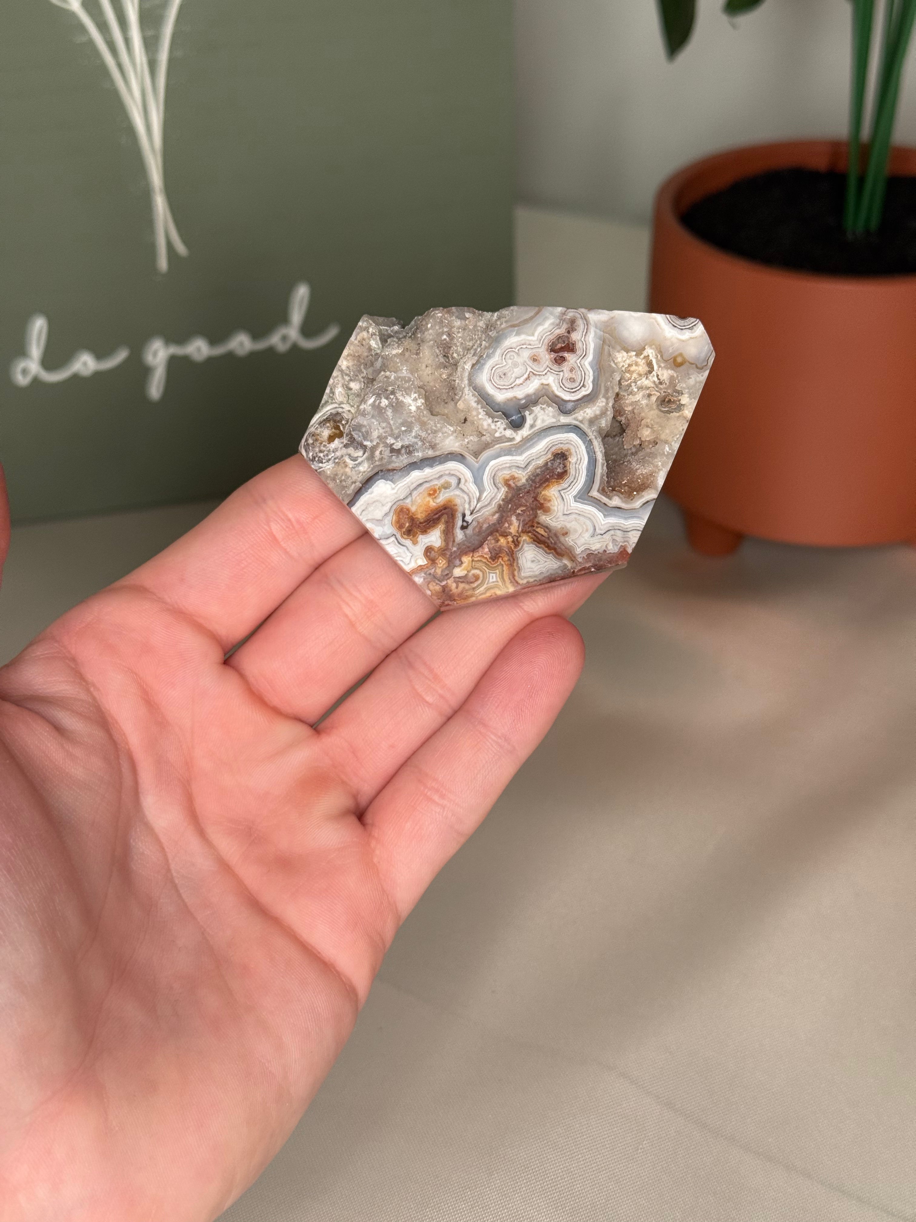 Mexican crazy lace agate freeforms