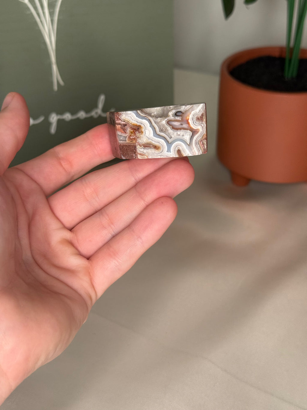 Mexican crazy lace agate freeforms