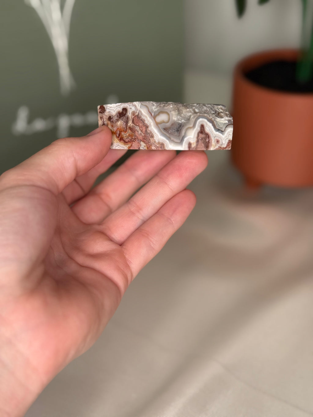 Mexican crazy lace agate freeforms