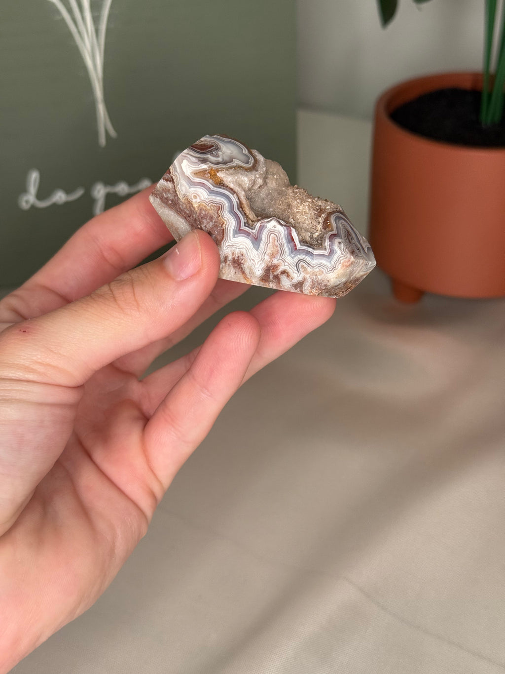 Mexican crazy lace agate freeforms