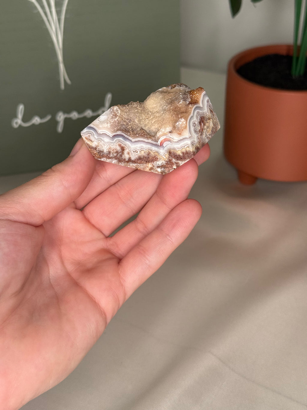 Mexican crazy lace agate freeforms