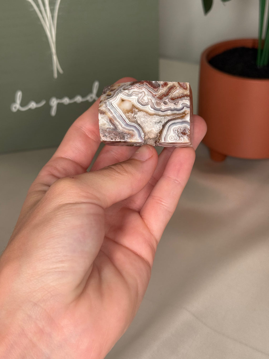 Mexican crazy lace agate freeforms