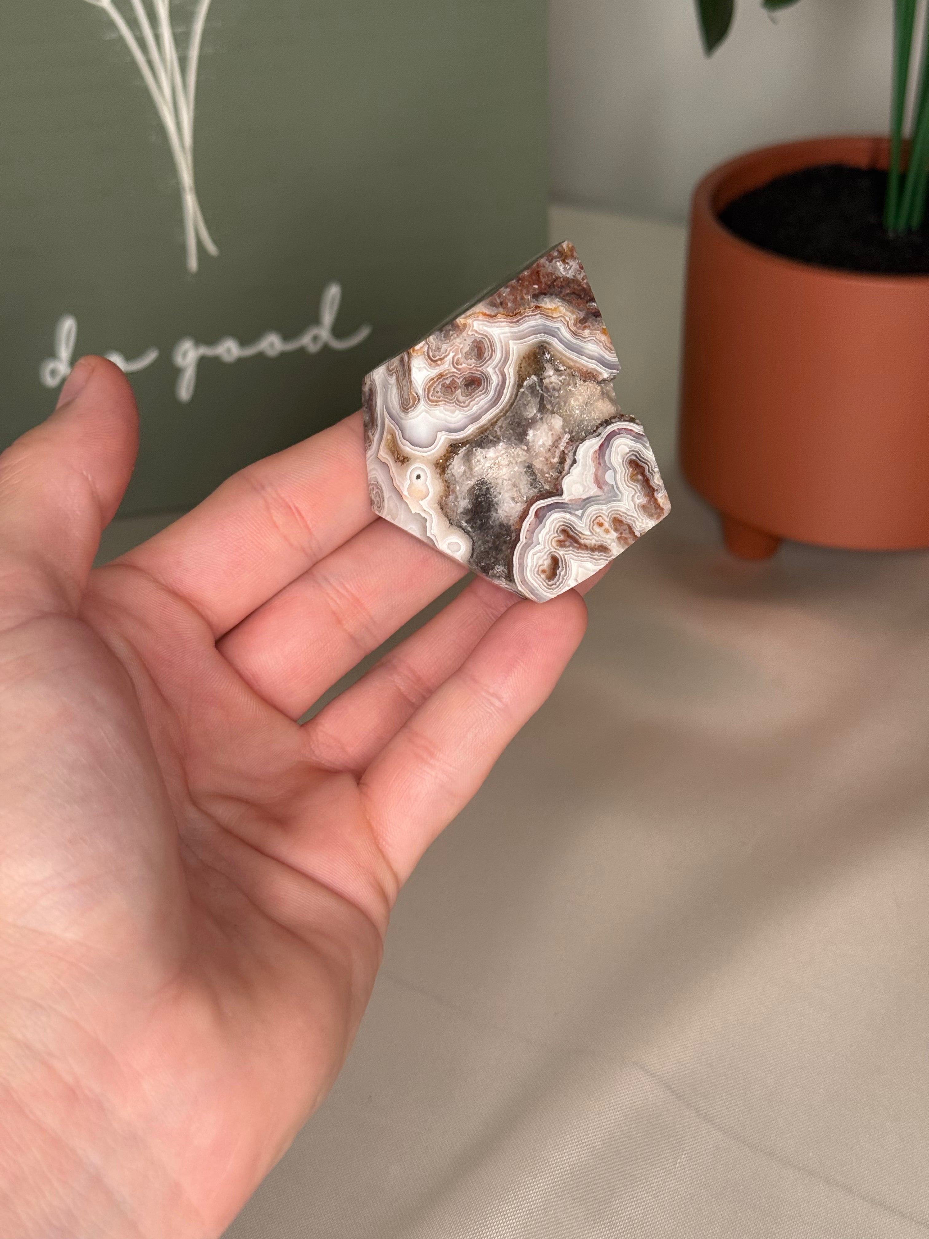 Mexican crazy lace agate freeforms