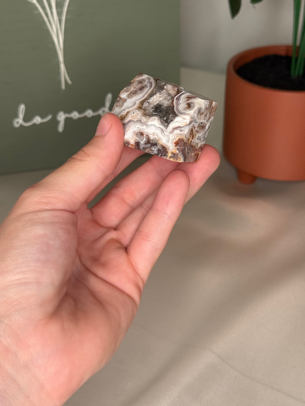 Mexican crazy lace agate freeforms