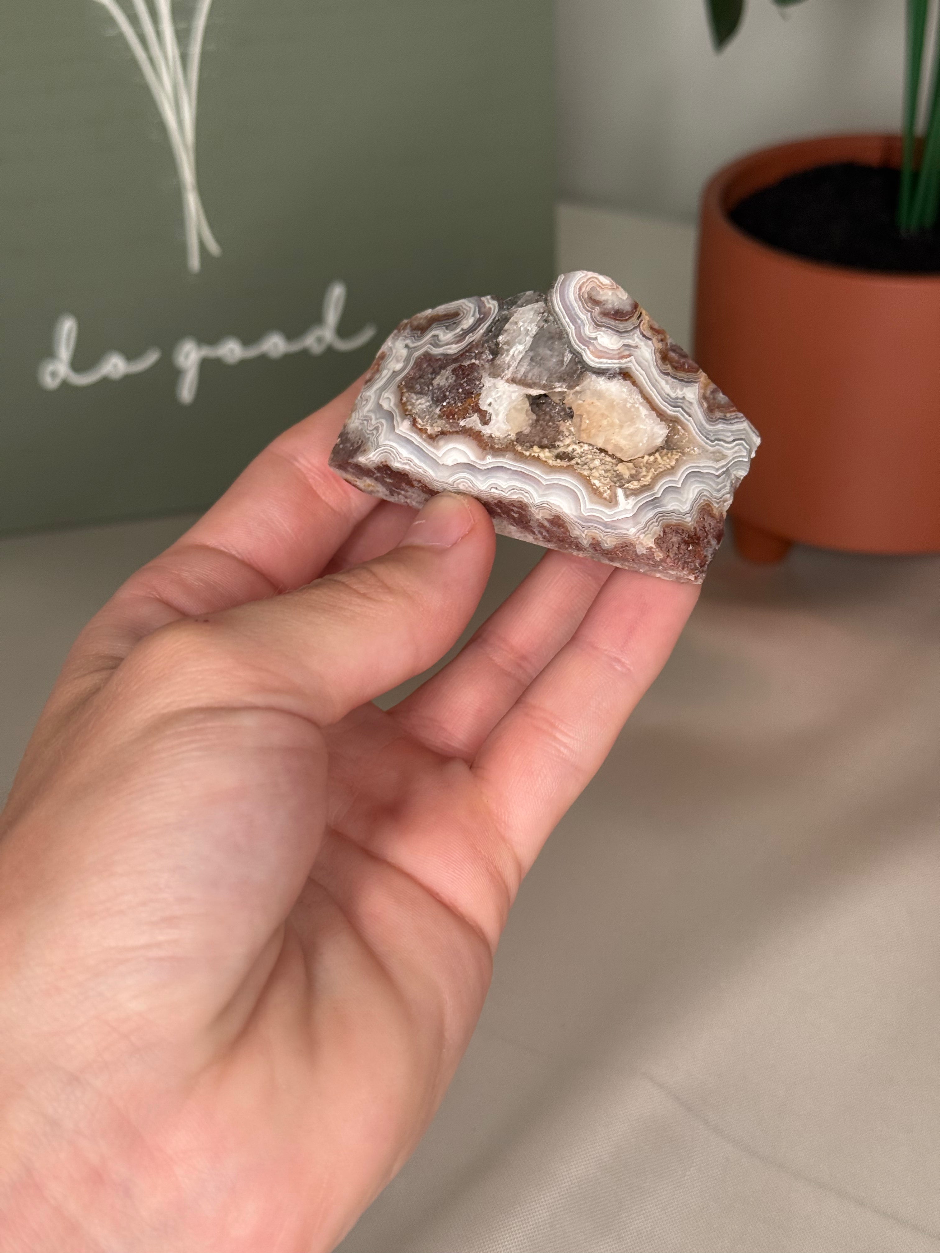Mexican crazy lace agate freeforms