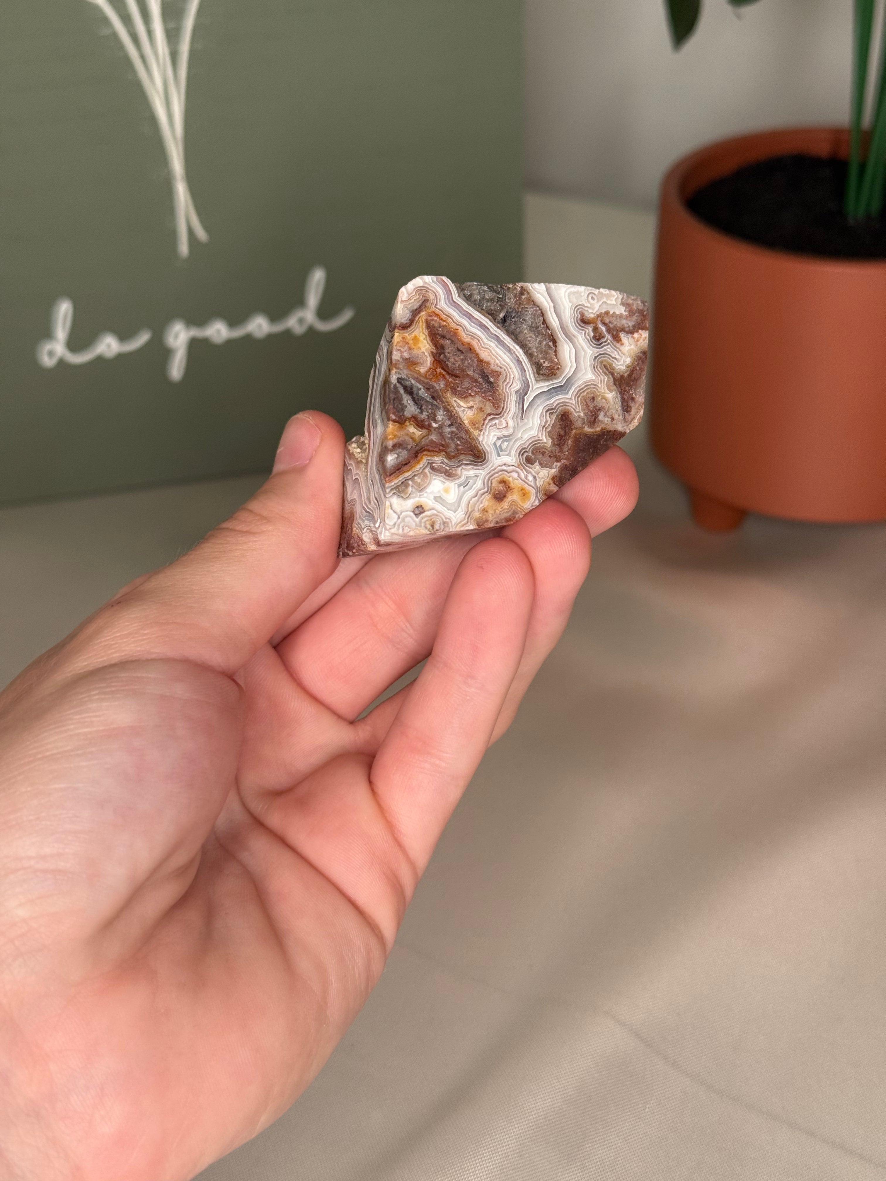 Mexican crazy lace agate freeforms