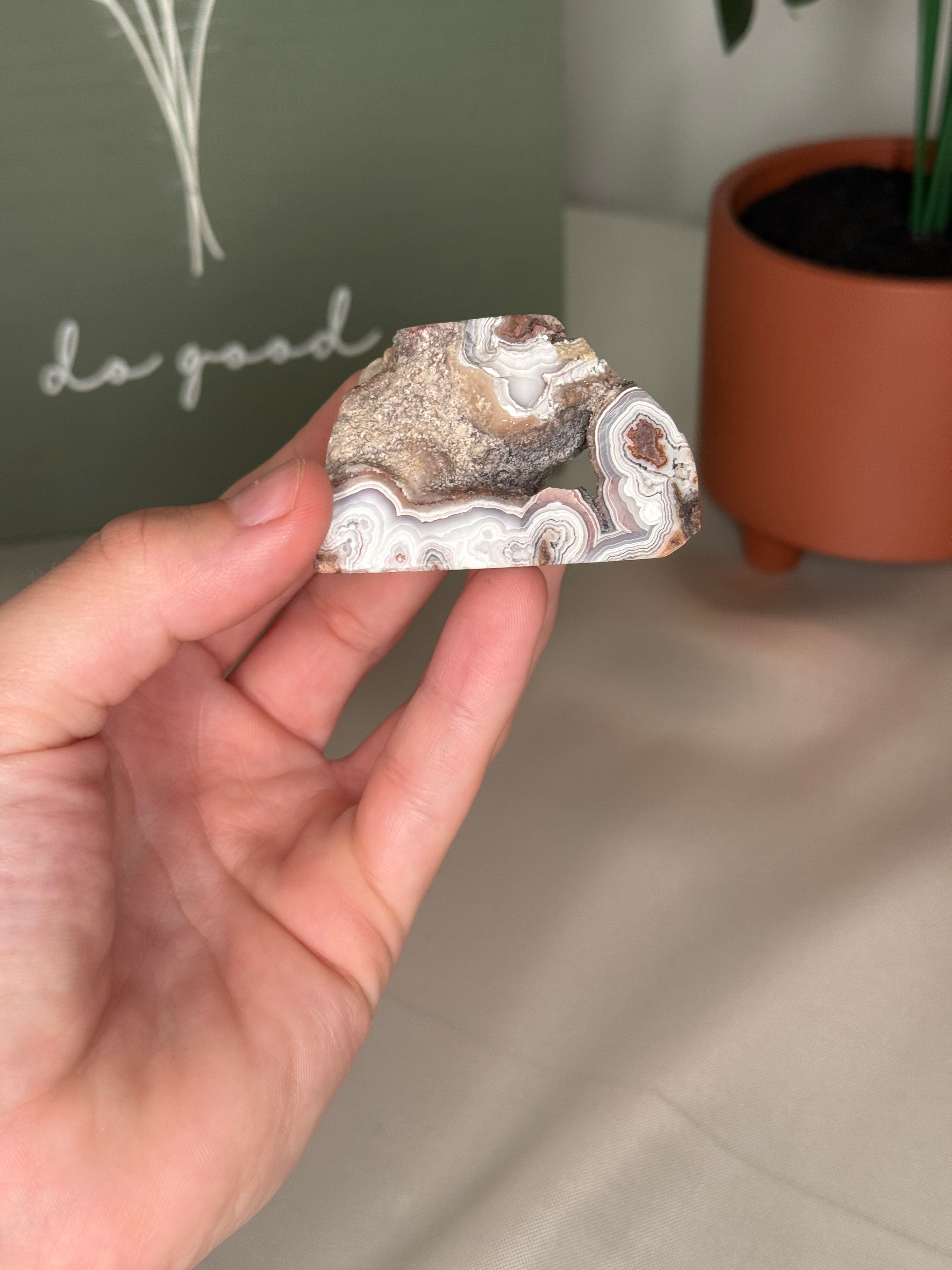 Mexican crazy lace agate freeforms