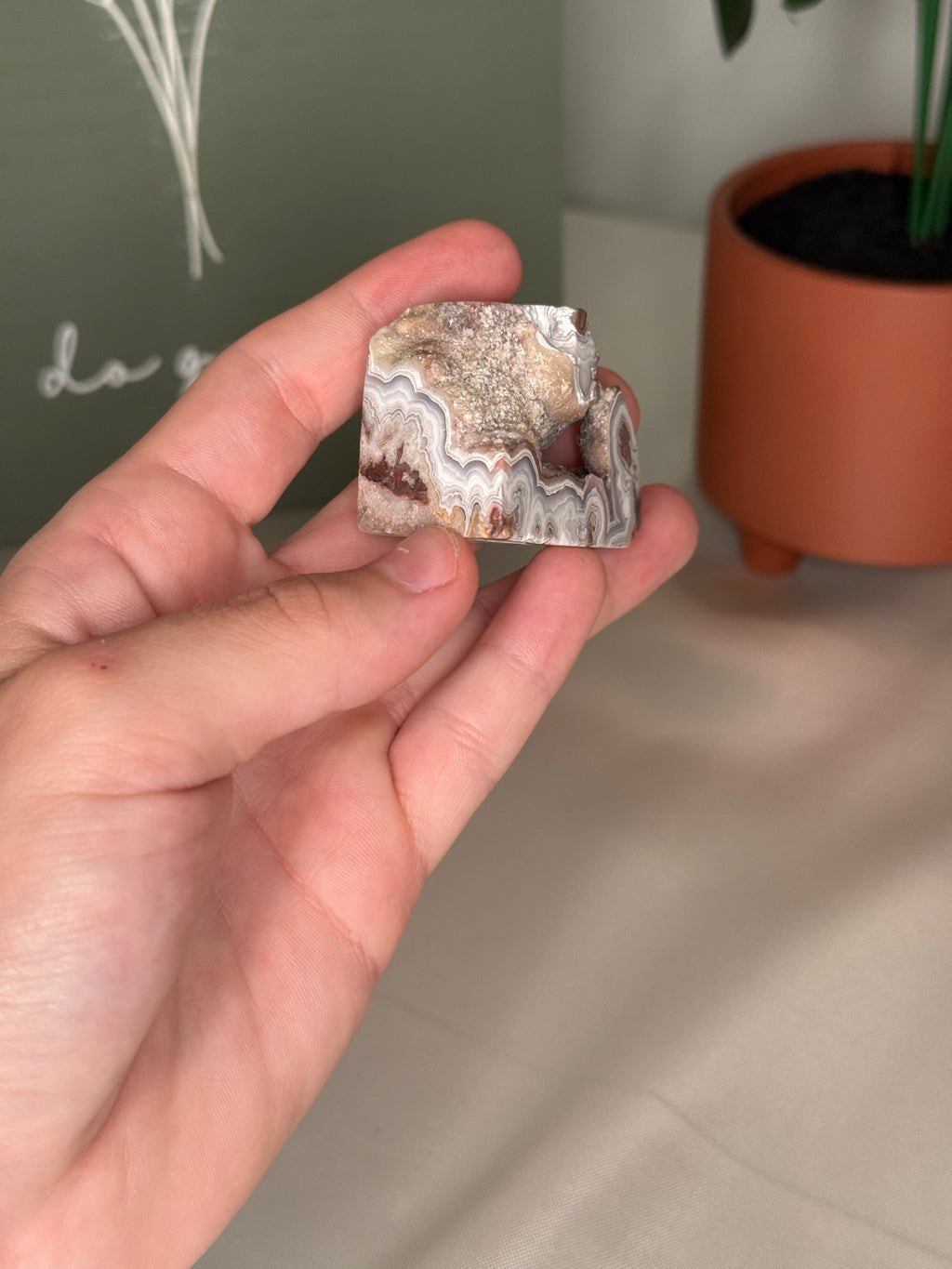 Mexican crazy lace agate freeforms
