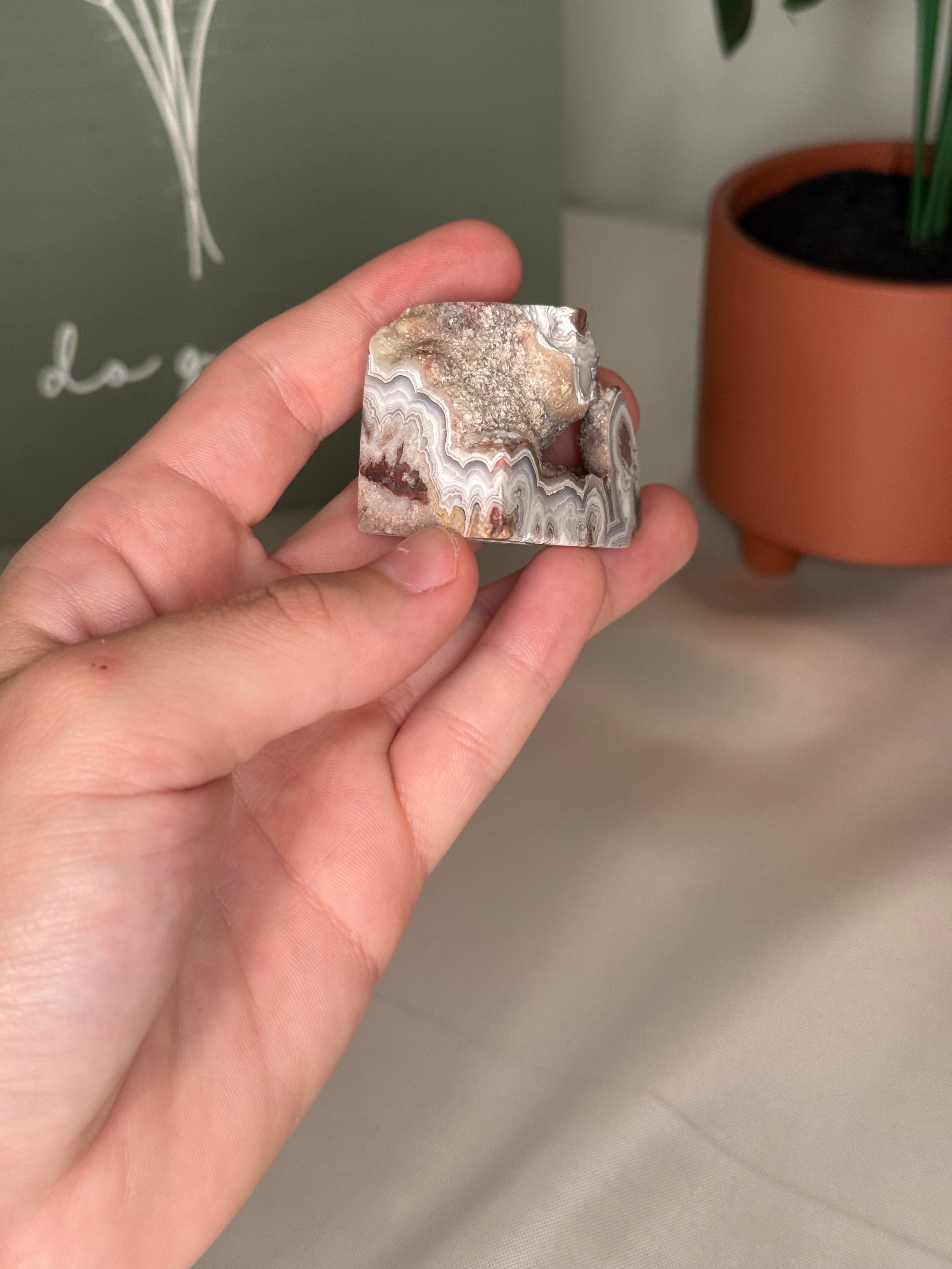 Mexican crazy lace agate freeforms