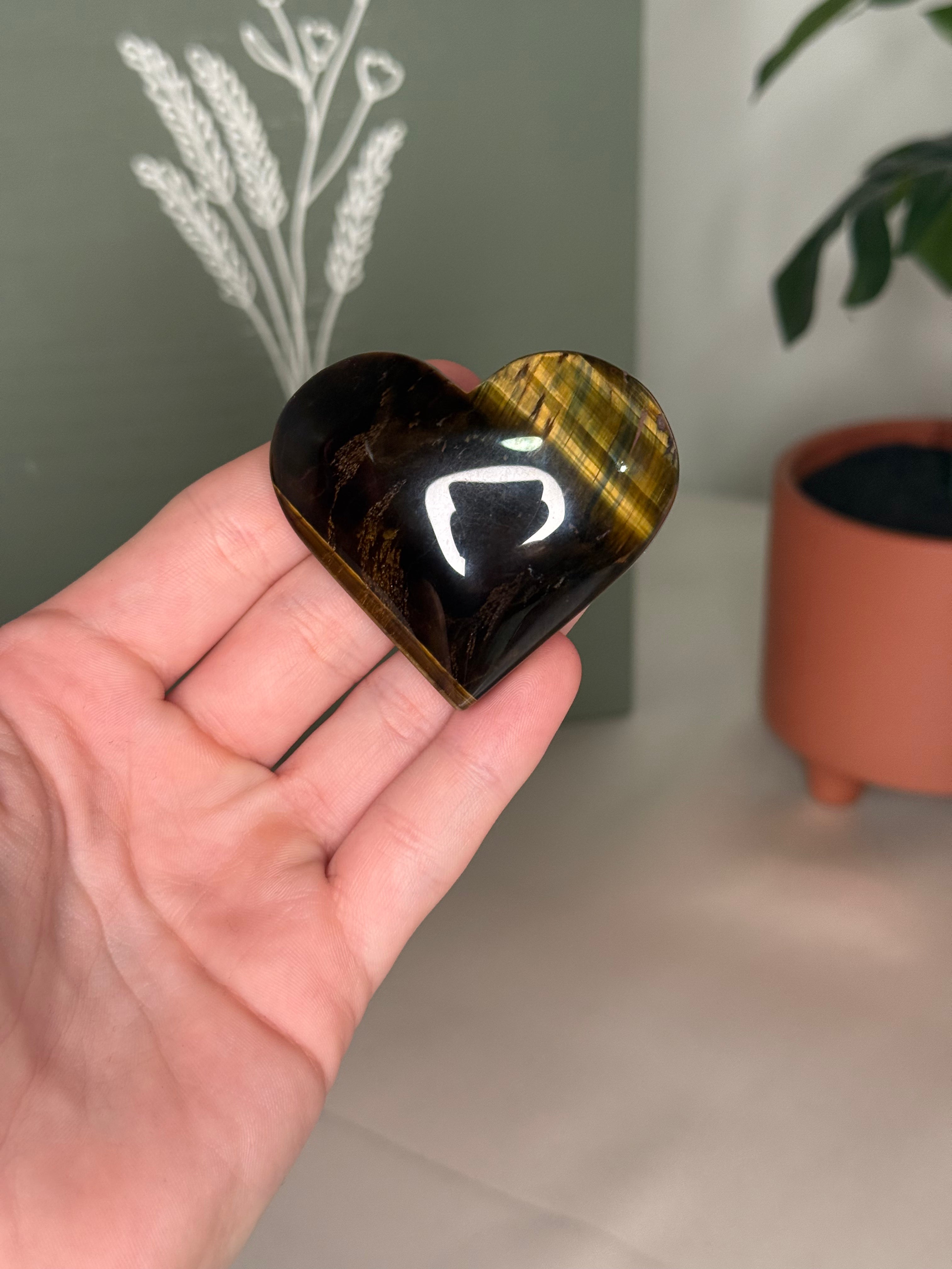 Choose your heart!