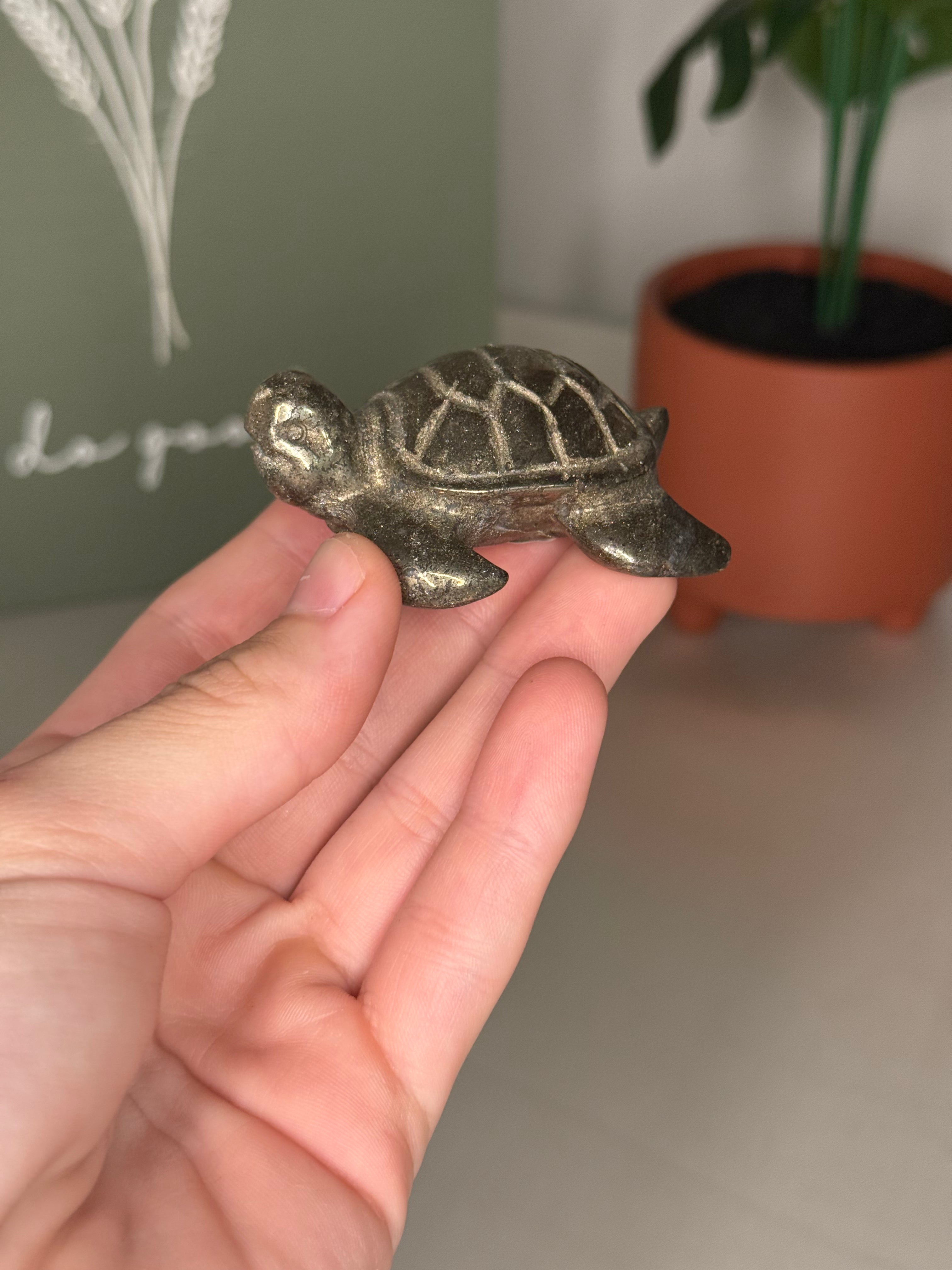 Pyrite turtle